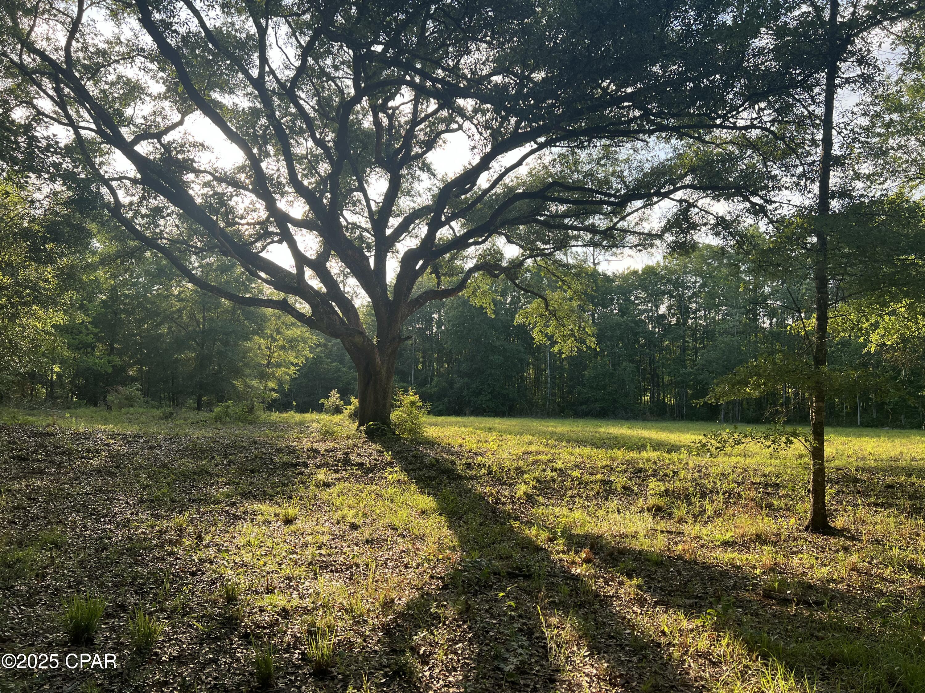 Details for 1750 Turkey Oak Trail, Bonifay, FL 32425