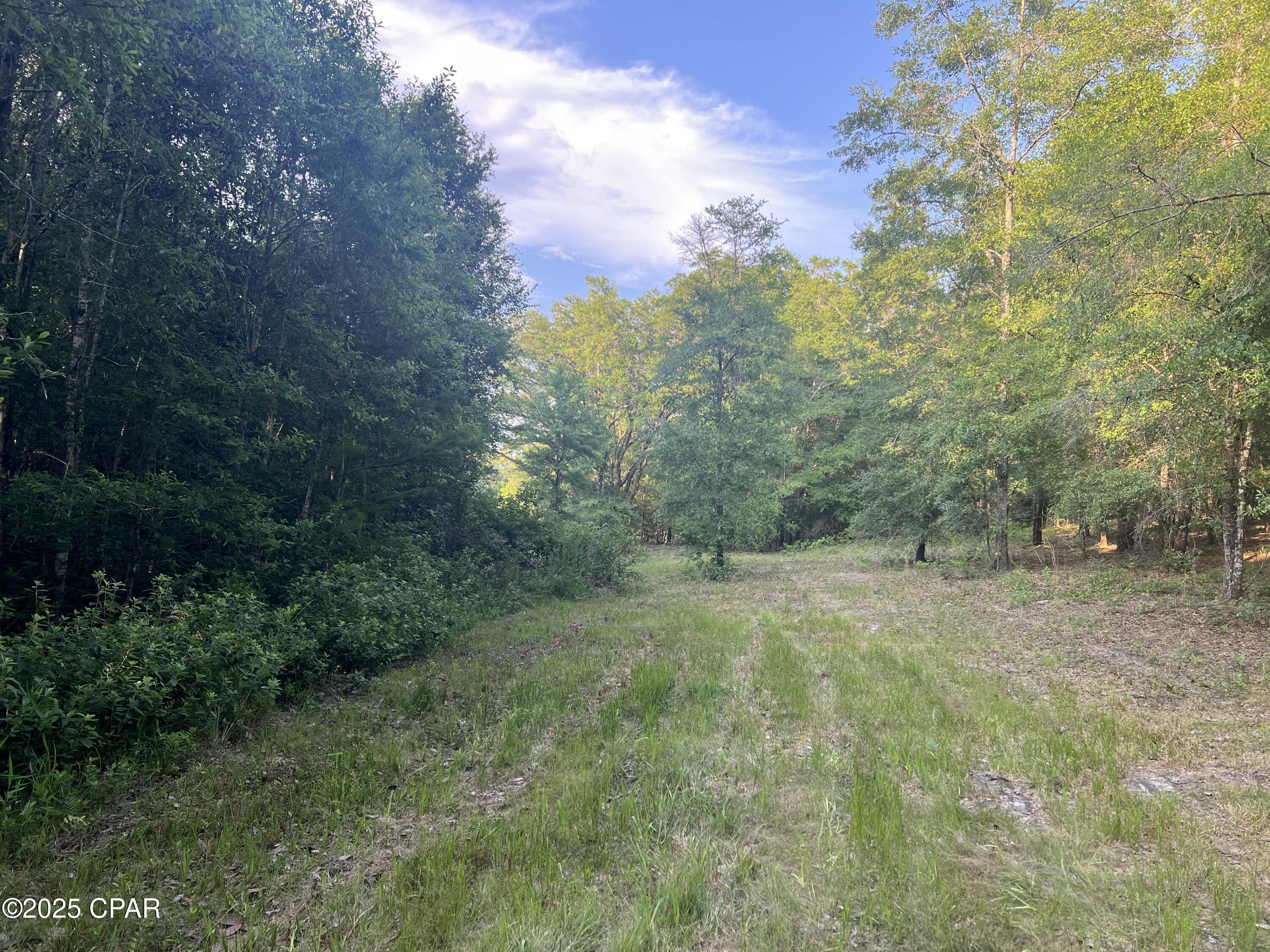 Image 11 For 1750 Turkey Oak Trail