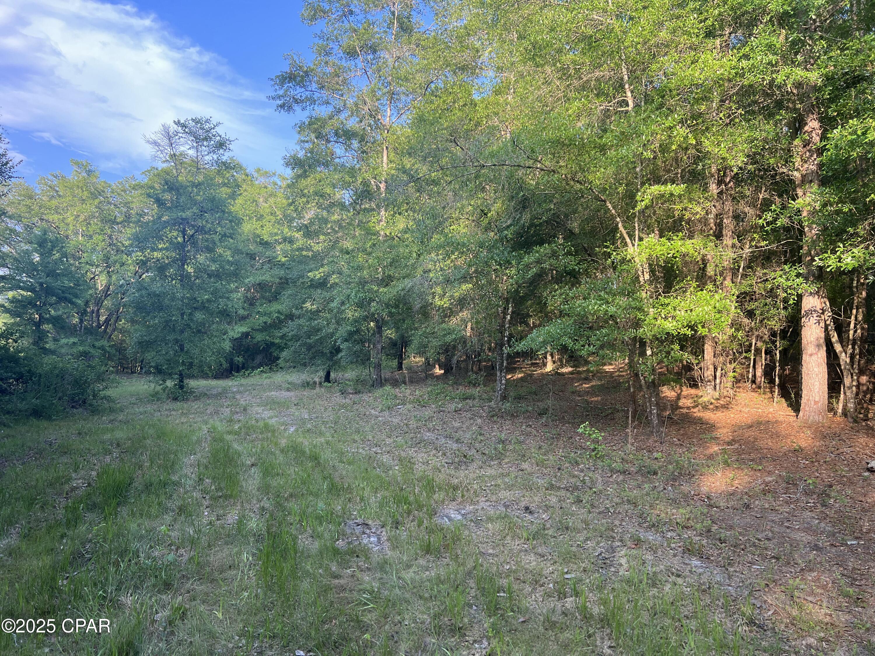 Image 12 For 1750 Turkey Oak Trail