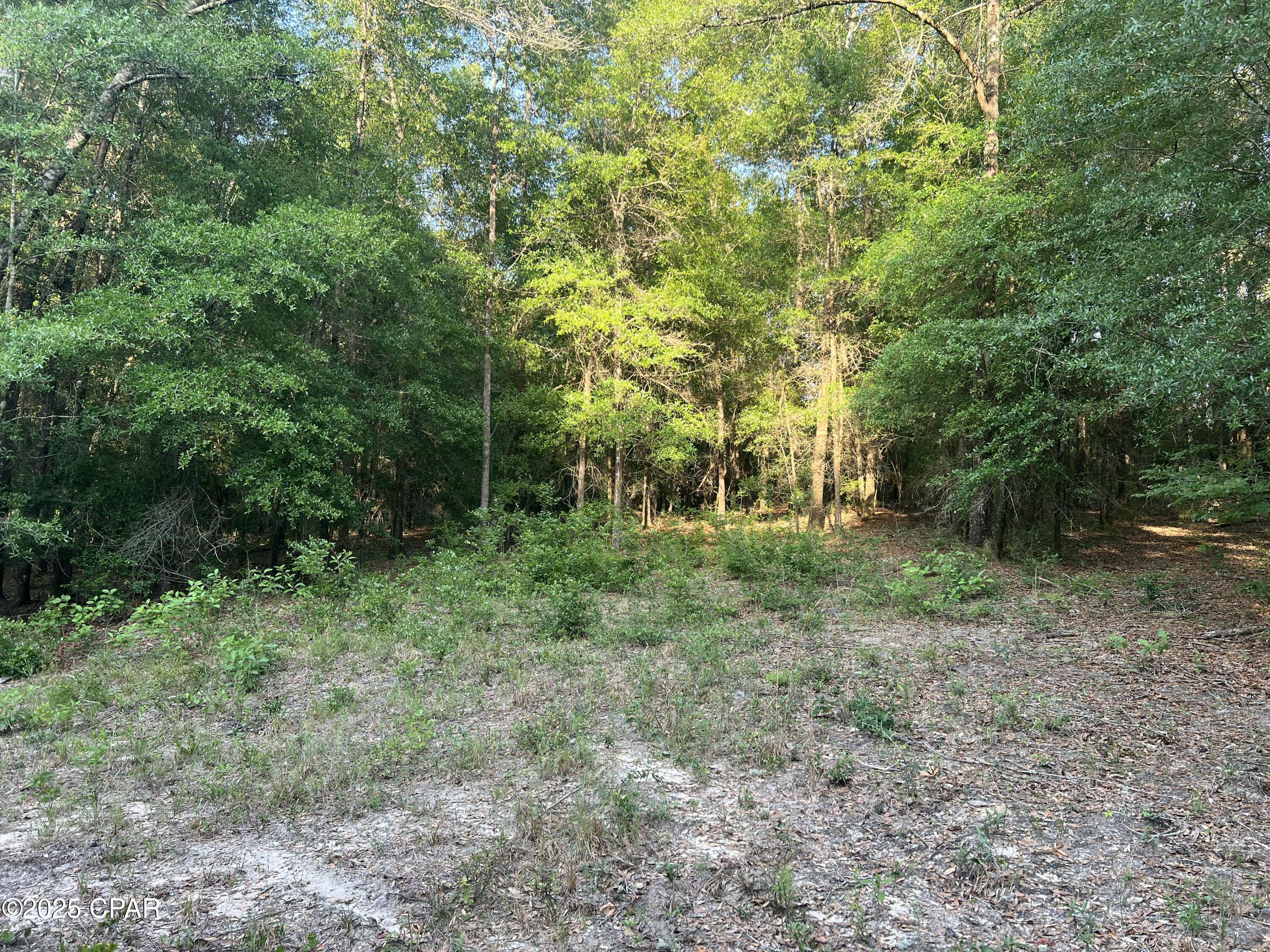 Image 14 For 1750 Turkey Oak Trail