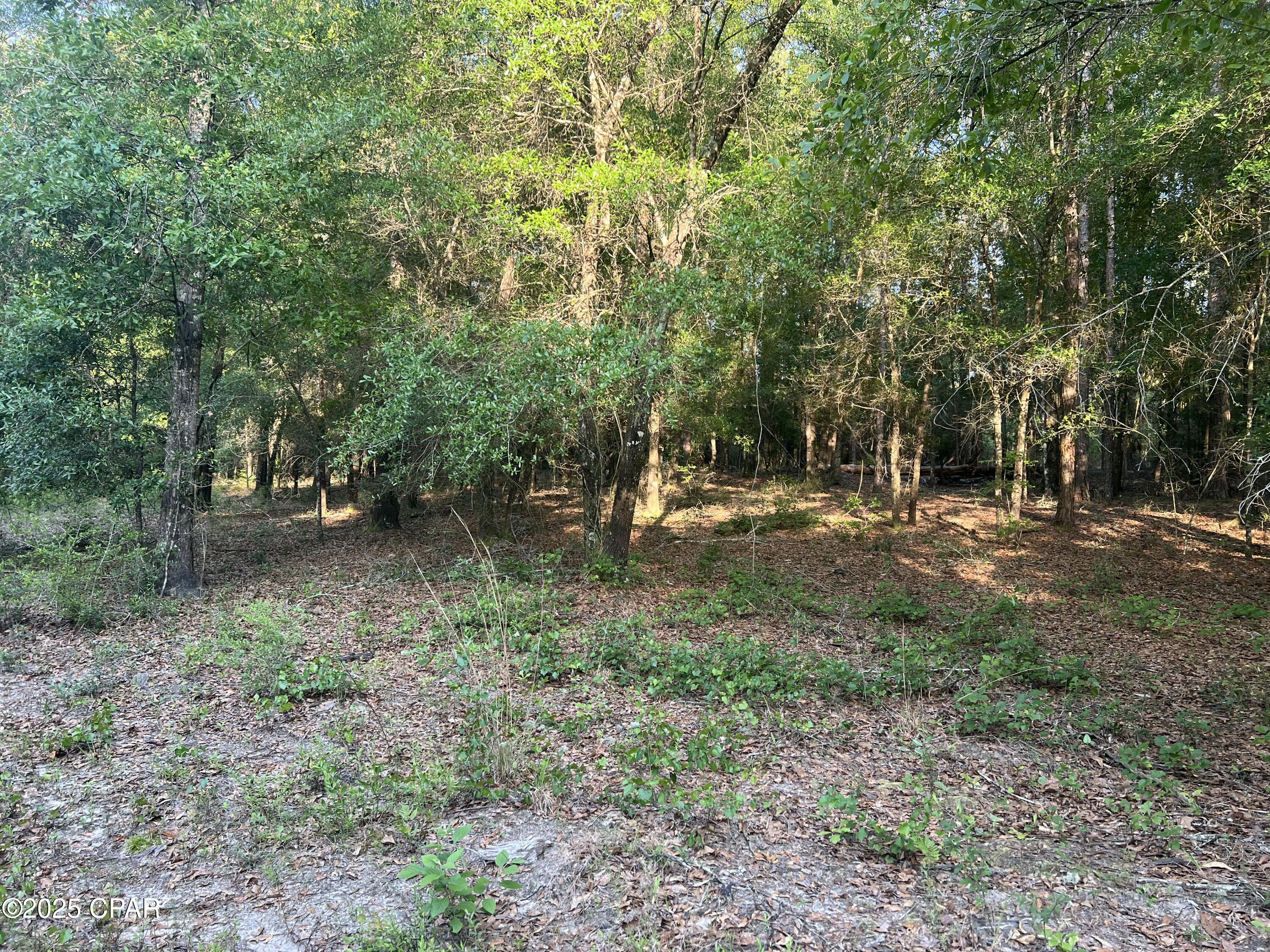 Image 15 For 1750 Turkey Oak Trail