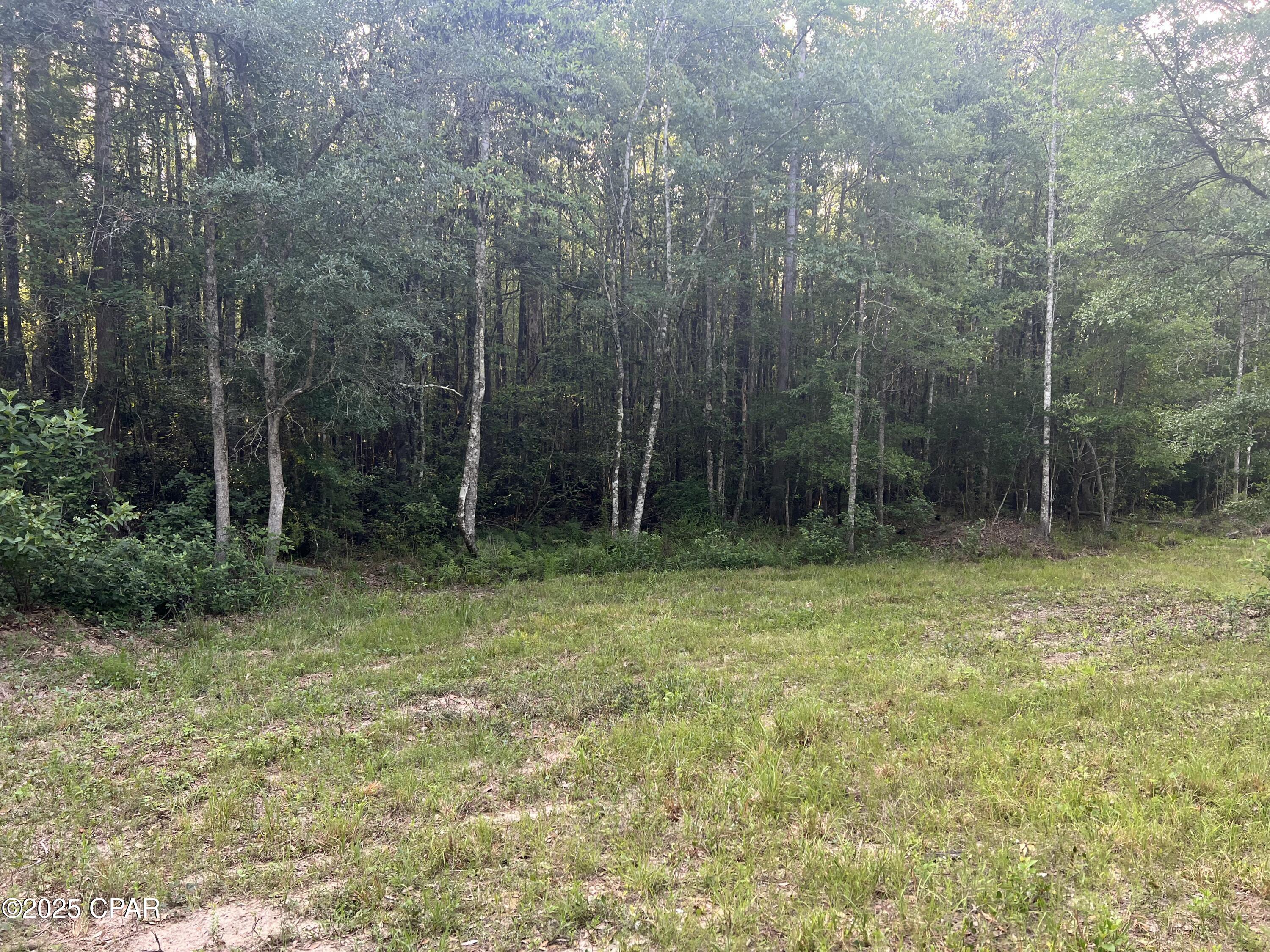 Image 16 For 1750 Turkey Oak Trail