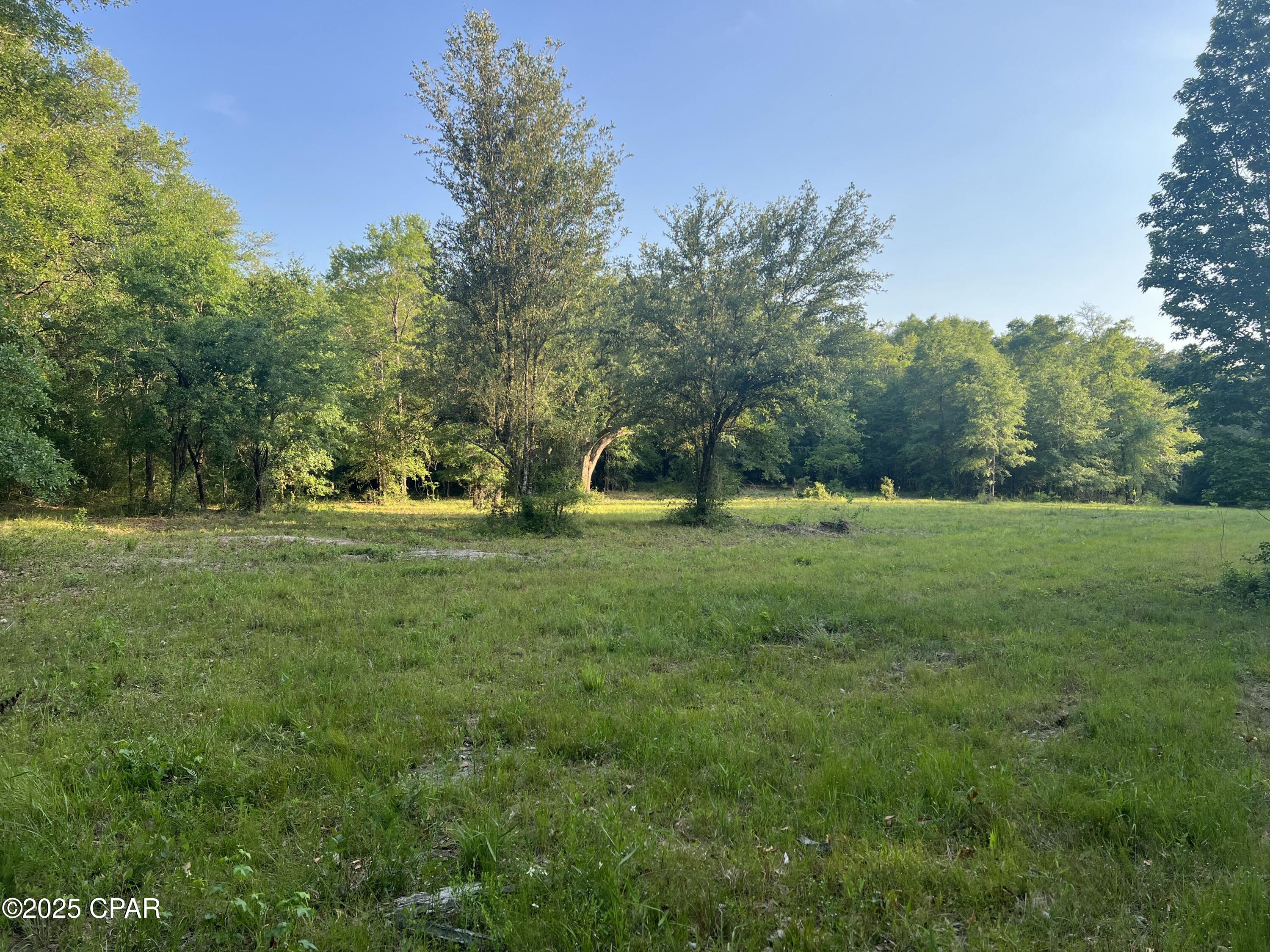 Image 2 For 1750 Turkey Oak Trail