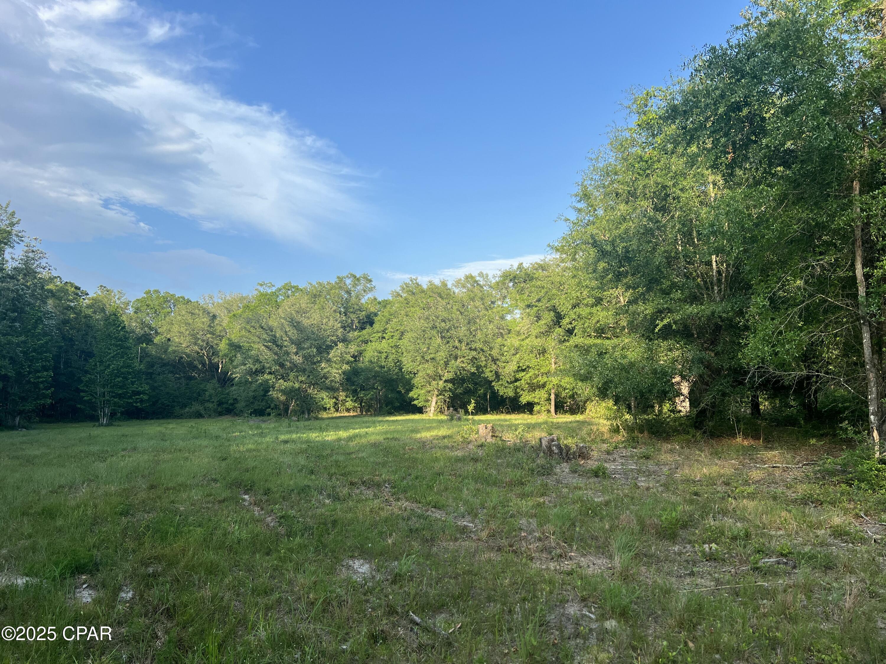 Image 20 For 1750 Turkey Oak Trail