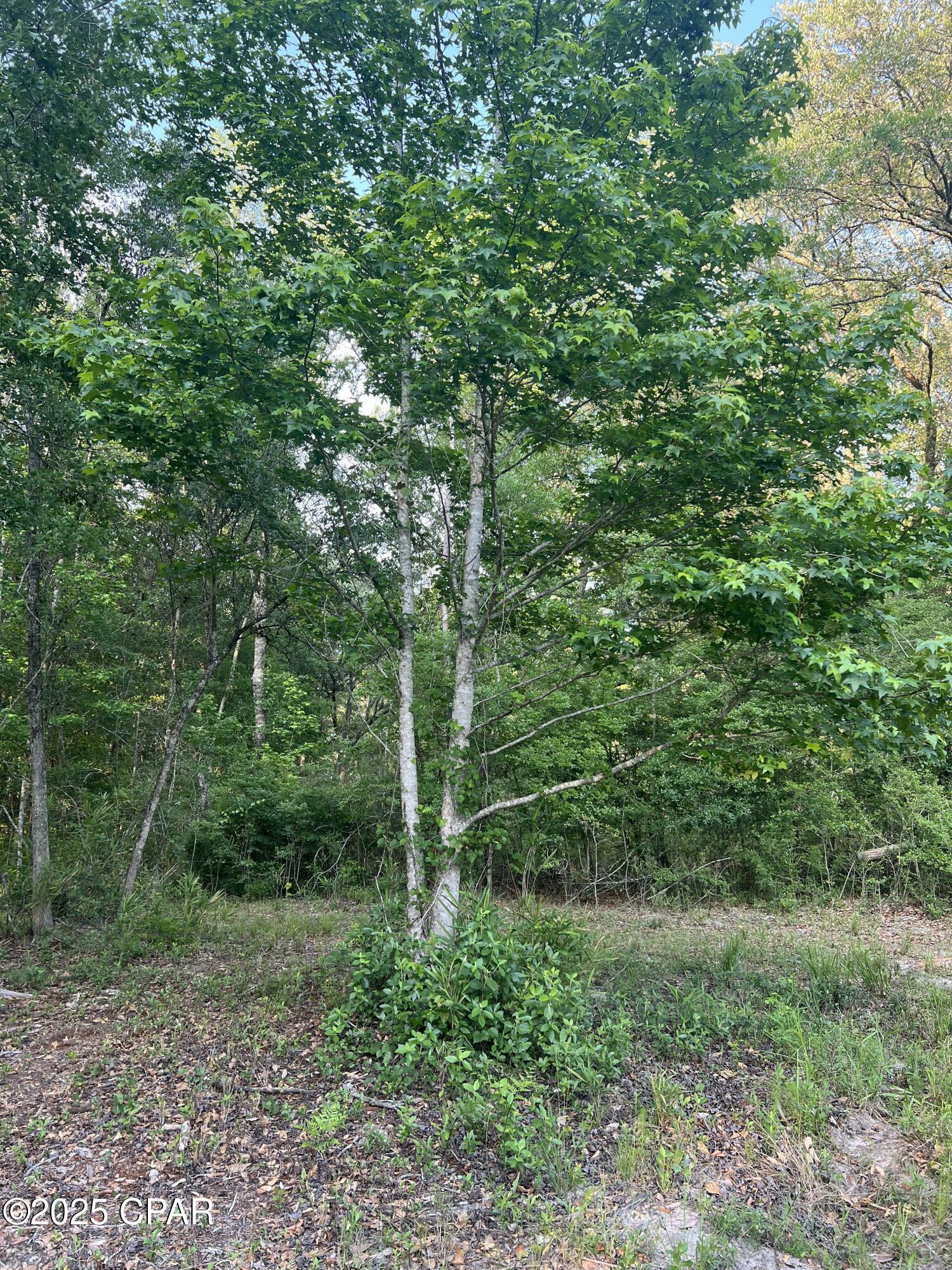 Image 22 For 1750 Turkey Oak Trail