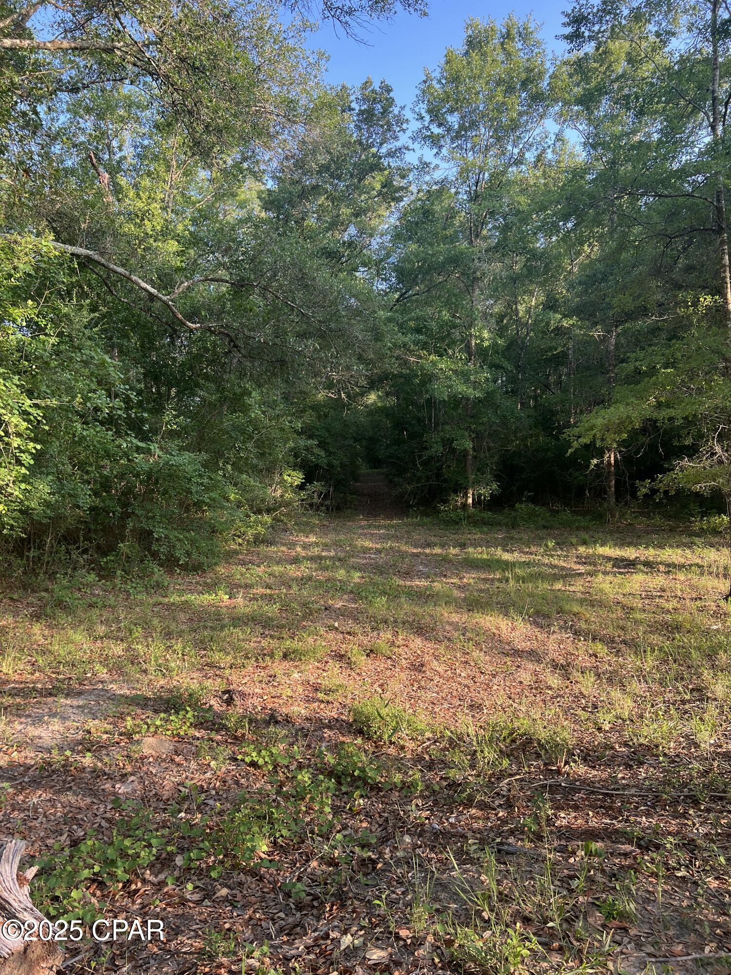 Image 24 For 1750 Turkey Oak Trail