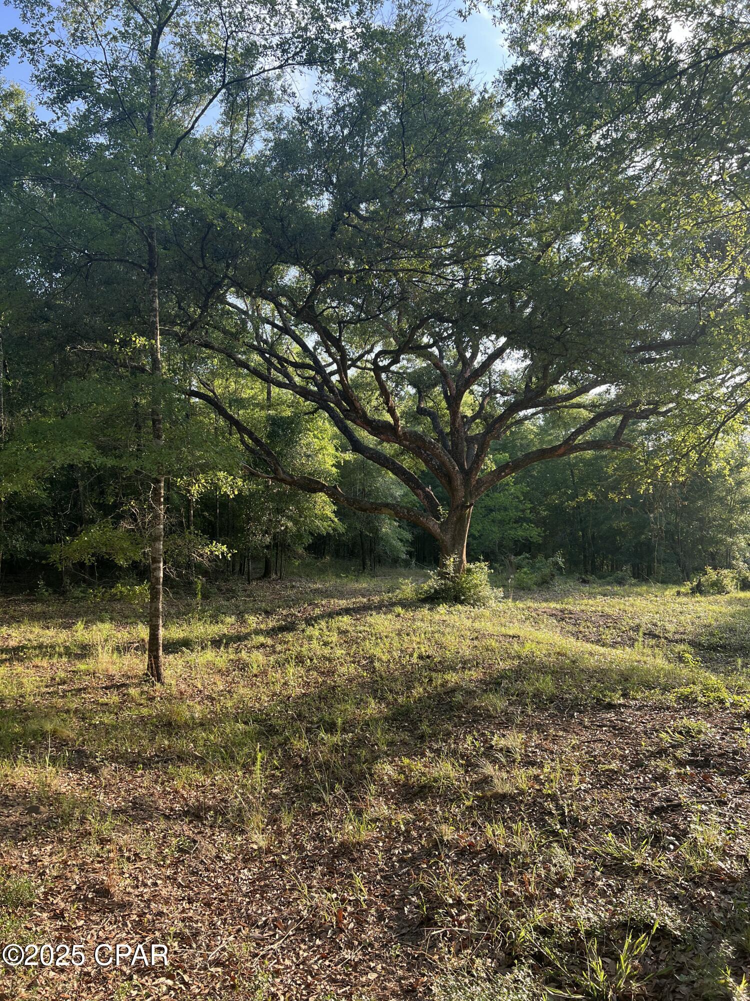 Image 25 For 1750 Turkey Oak Trail