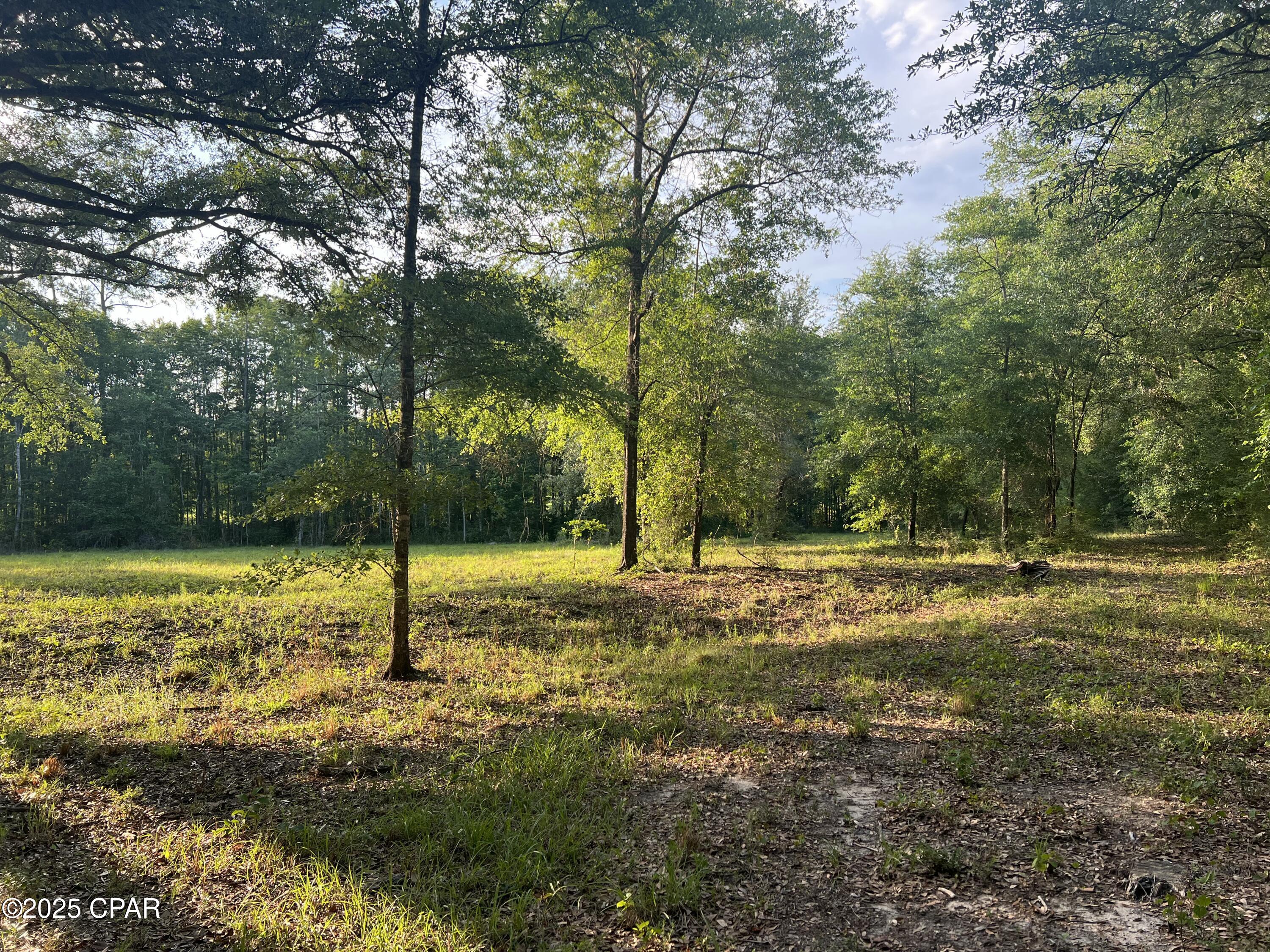 Image 26 For 1750 Turkey Oak Trail