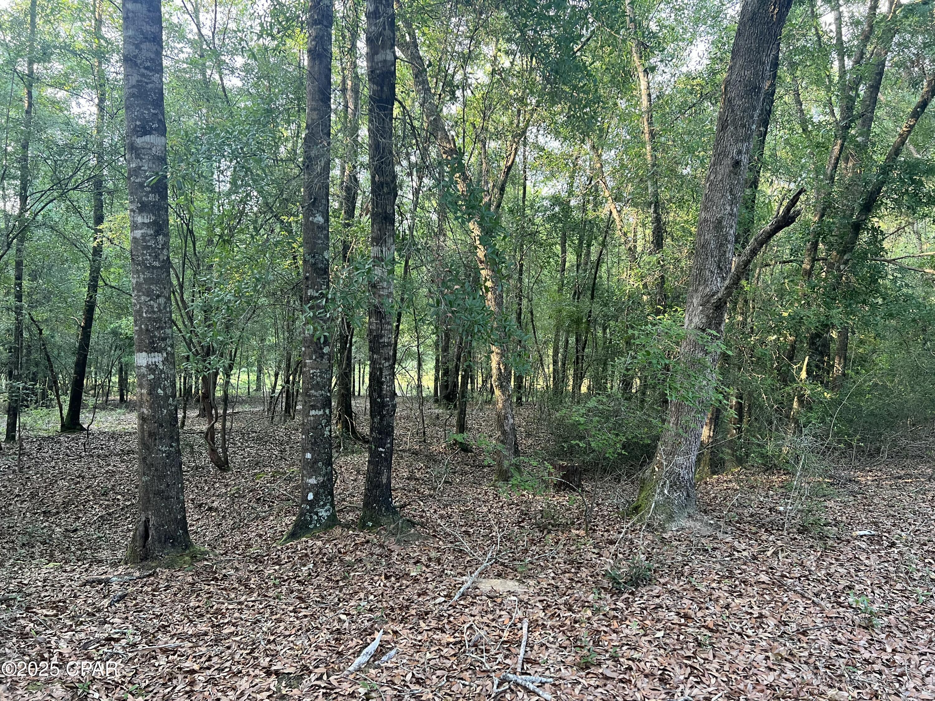 Image 28 For 1750 Turkey Oak Trail