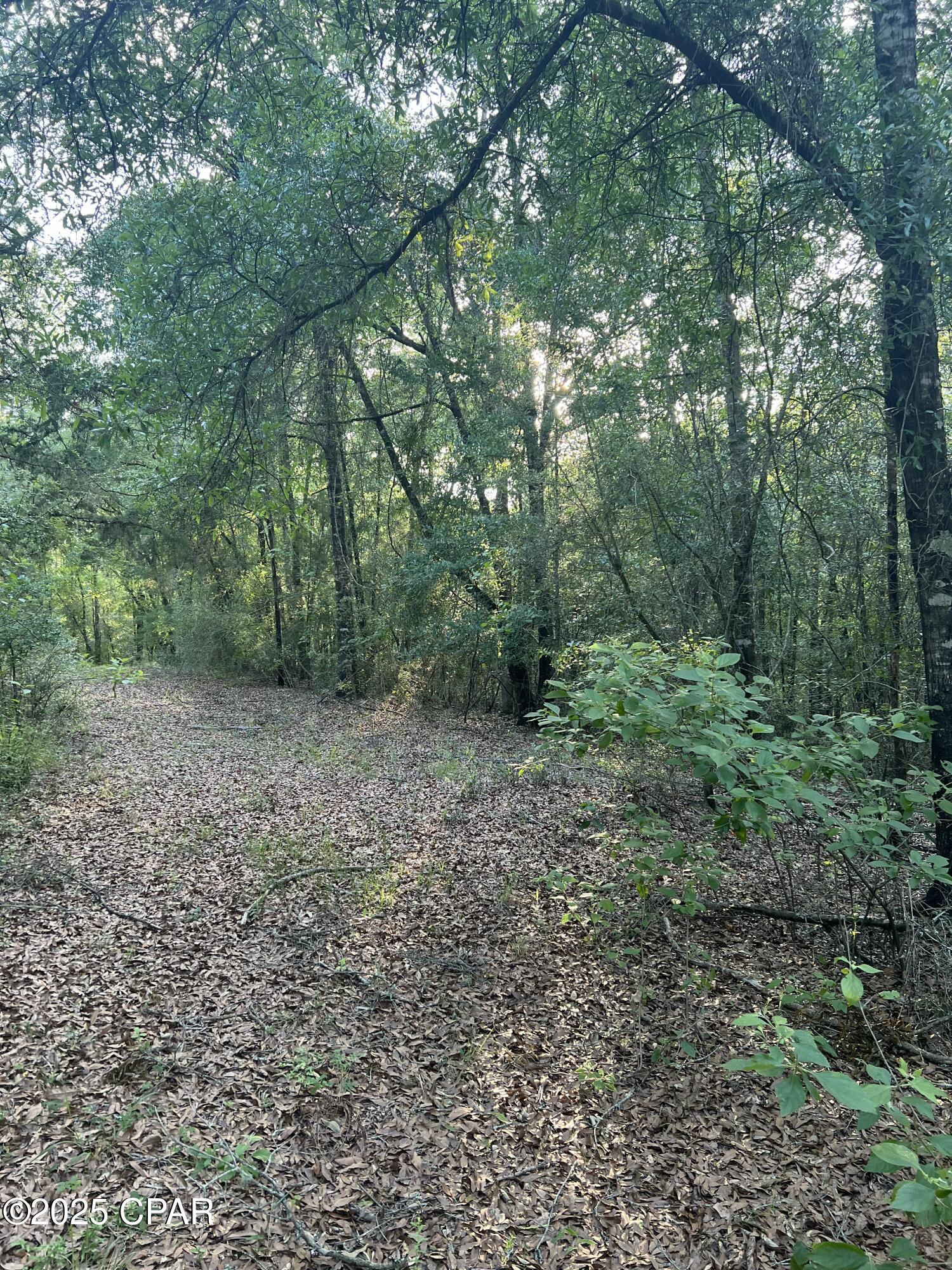 Image 30 For 1750 Turkey Oak Trail