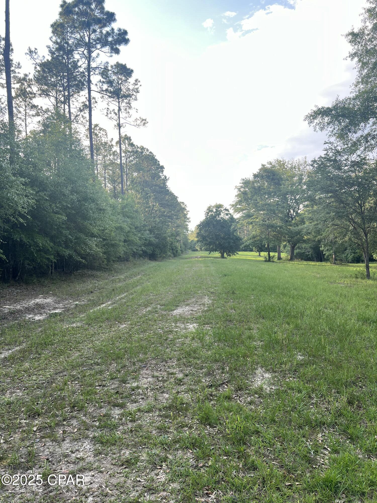 Image 7 For 1750 Turkey Oak Trail