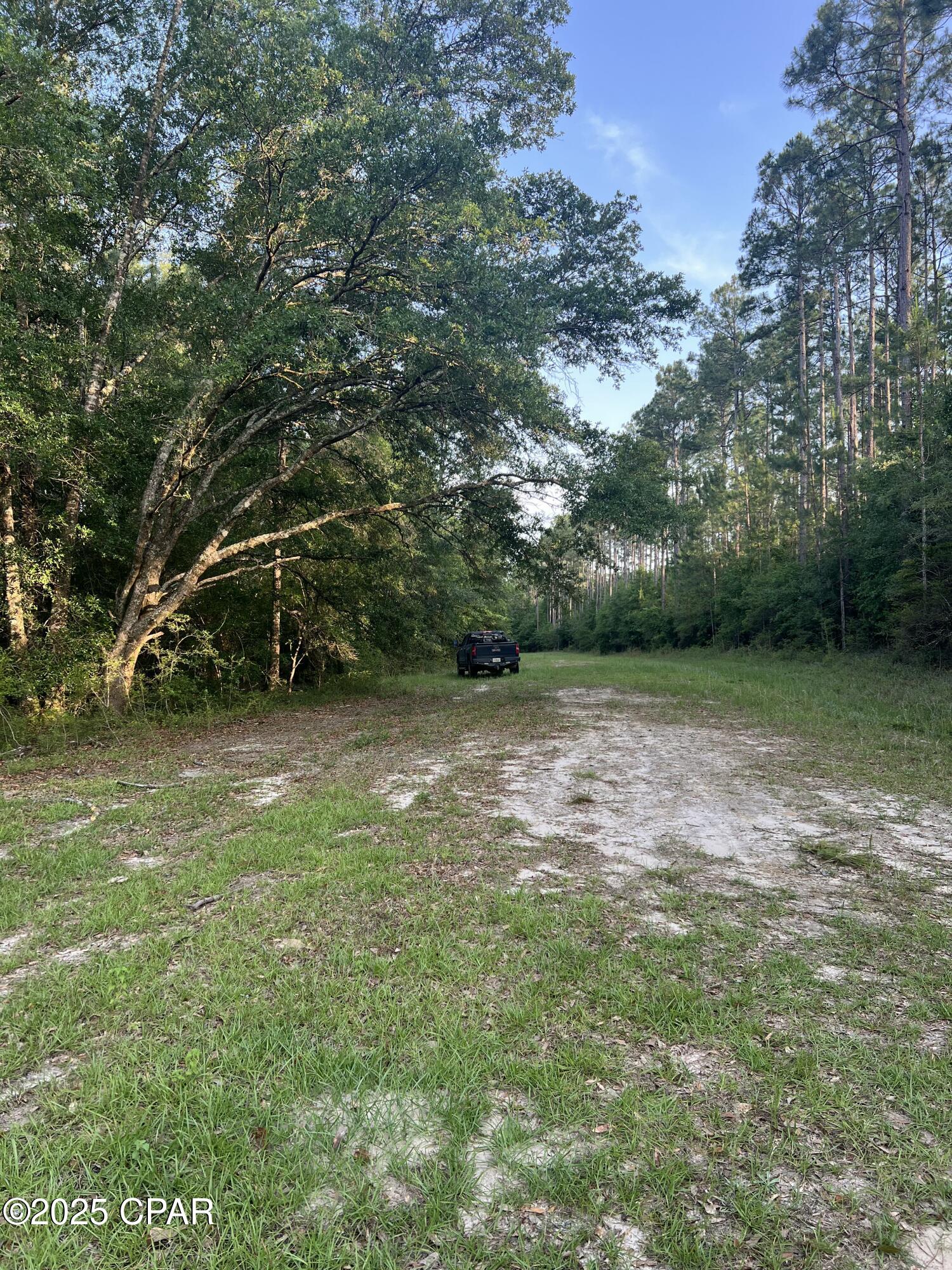 Image 8 For 1750 Turkey Oak Trail