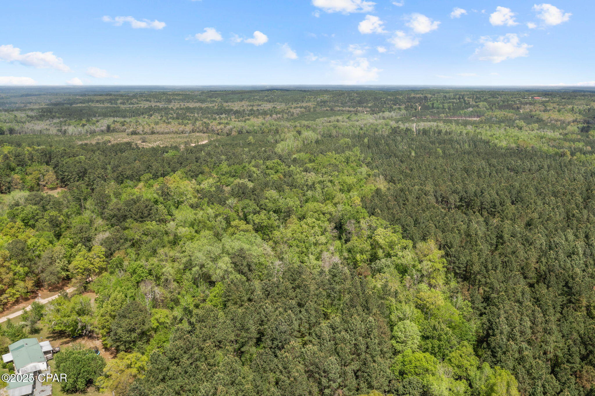 Image 11 For Xxx Spring Lakes Drive