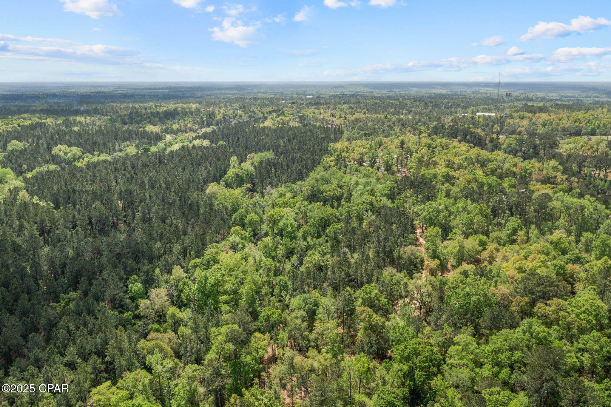 Image 13 For Xxx Spring Lakes Drive