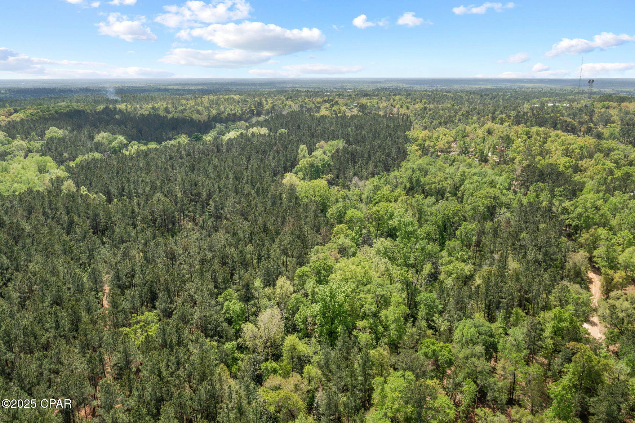 Image 14 For Xxx Spring Lakes Drive