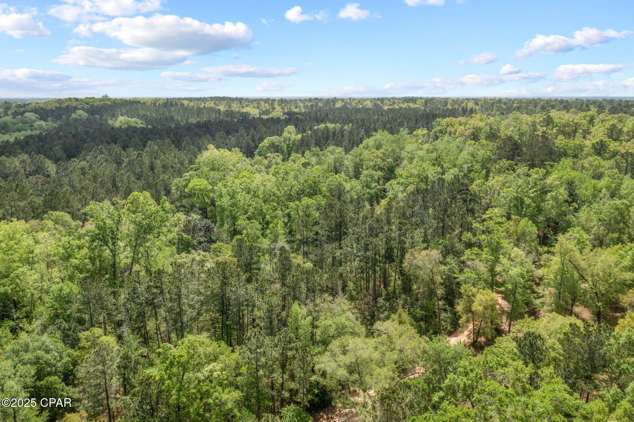 Image 15 For Xxx Spring Lakes Drive