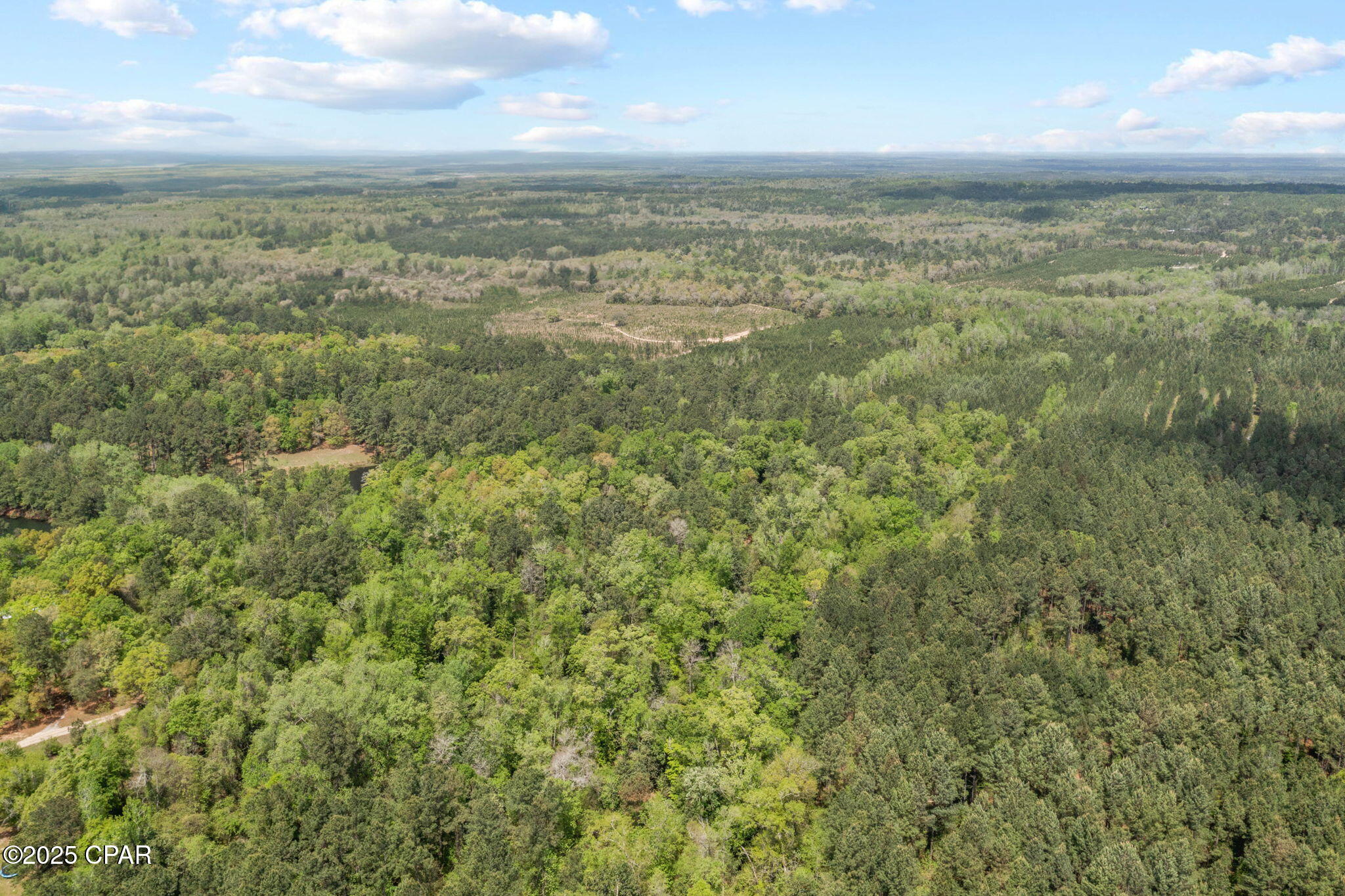 Image 19 For Xxx Spring Lakes Drive