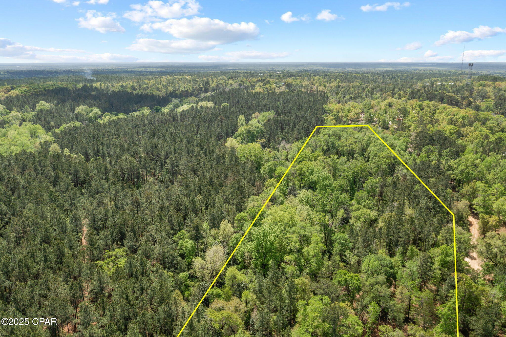 Image 5 For Xxx Spring Lakes Drive