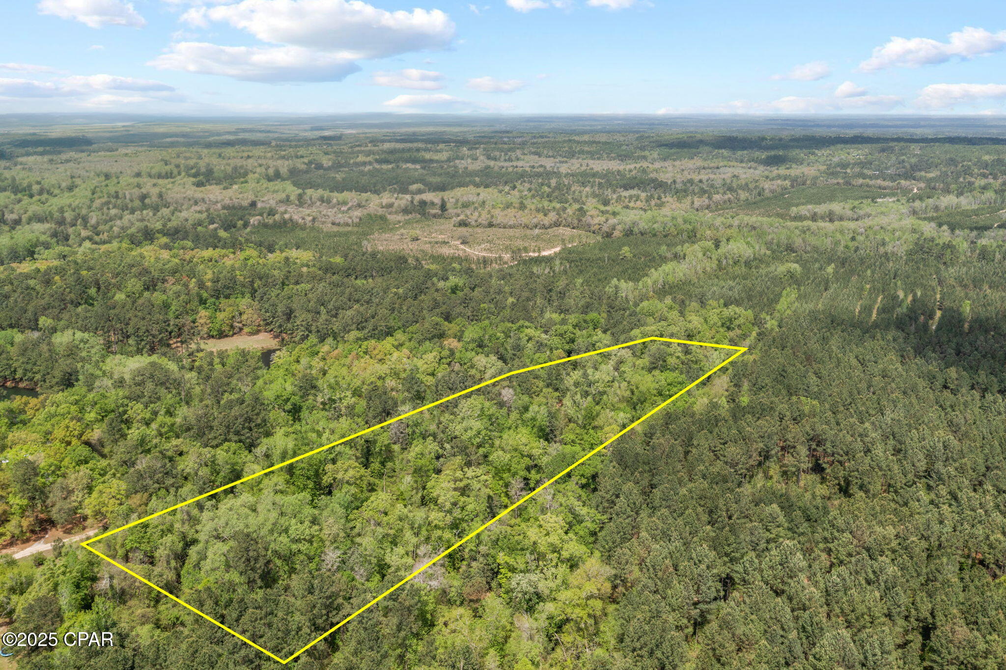 Image 8 For Xxx Spring Lakes Drive