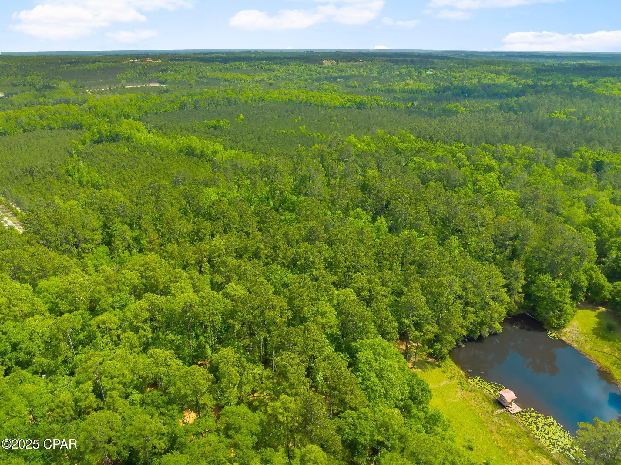 Image 10 For 00 Corgi Lane