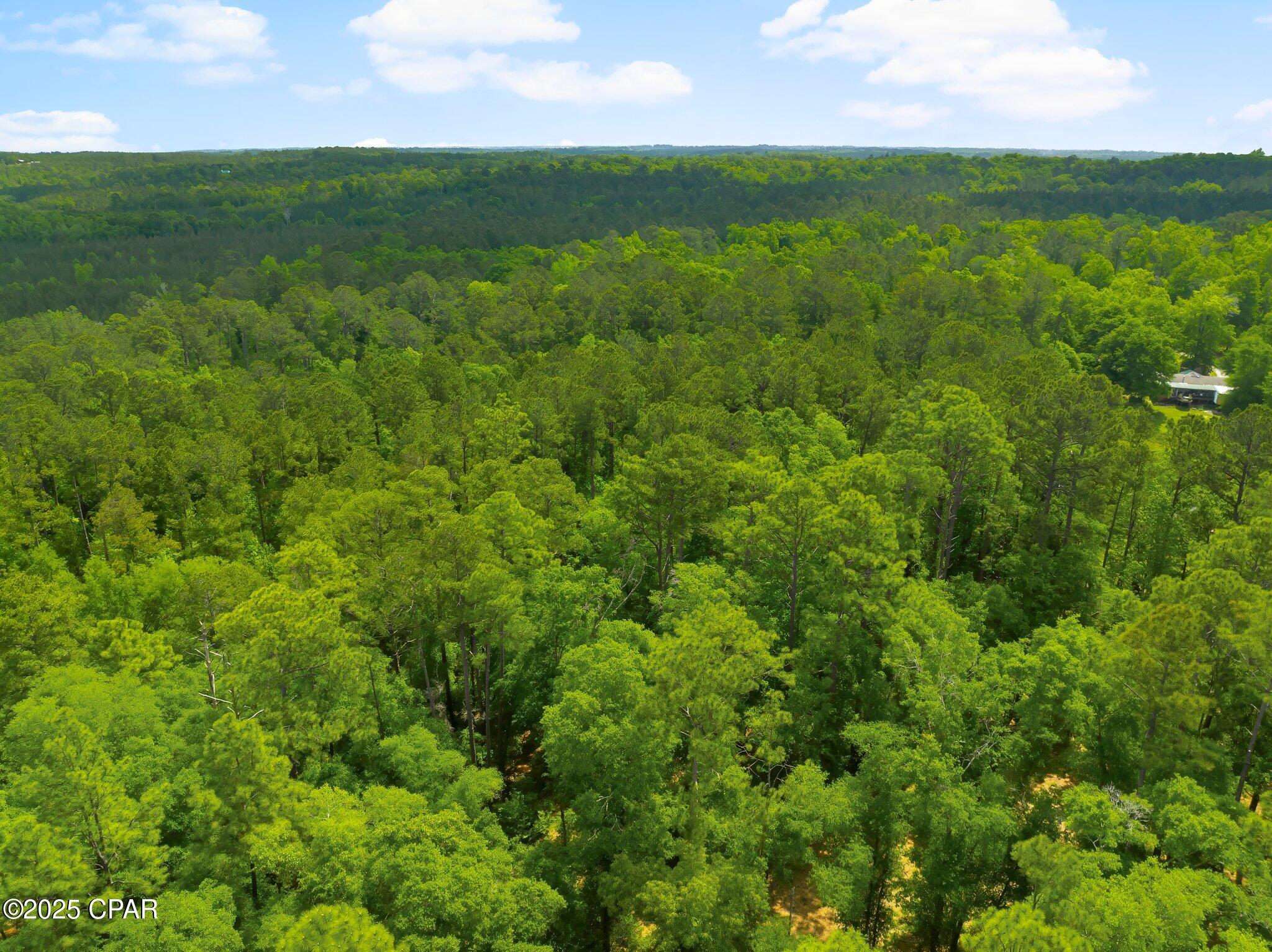 Image 11 For 00 Corgi Lane