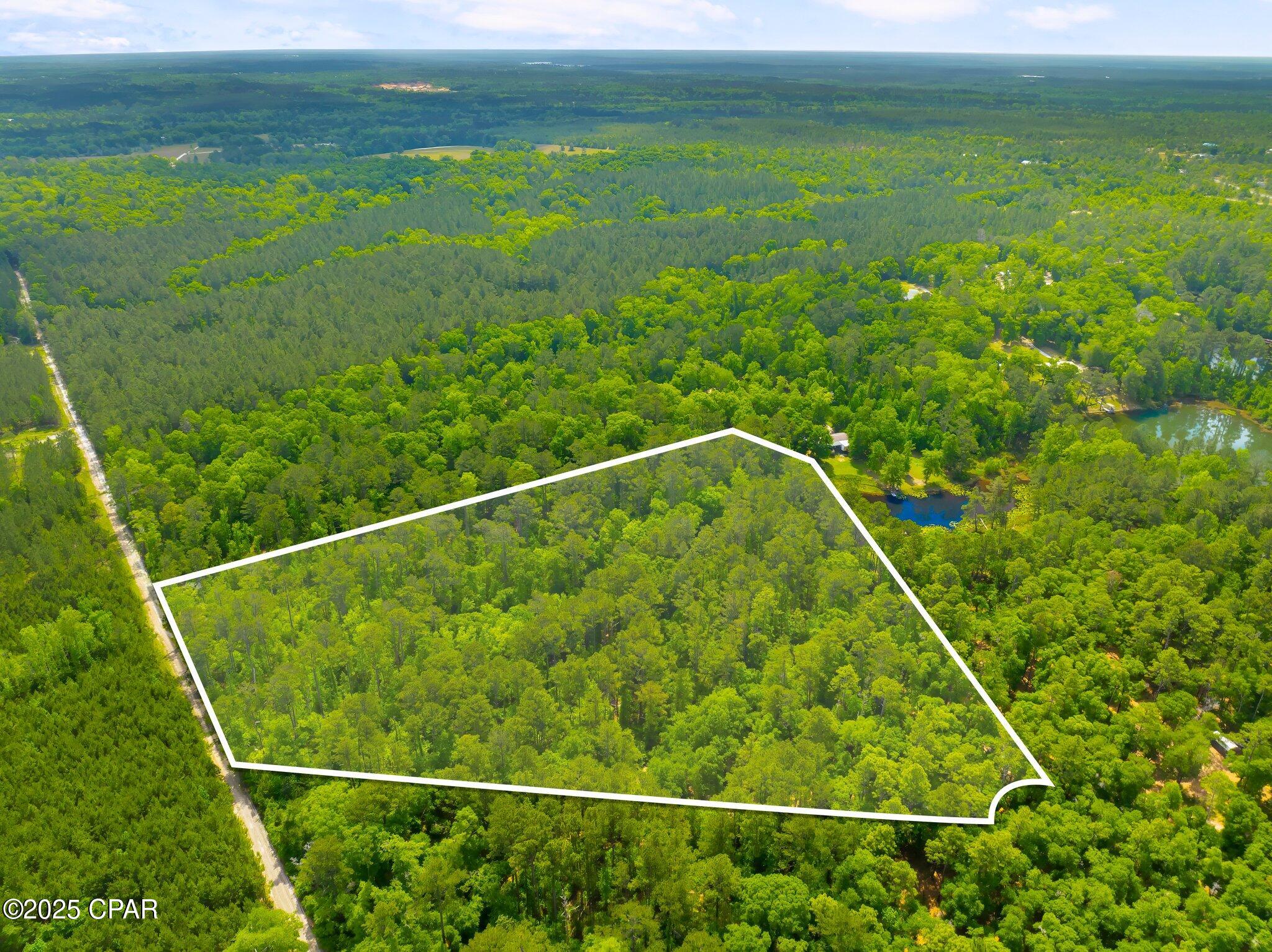 Image 4 For 00 Corgi Lane