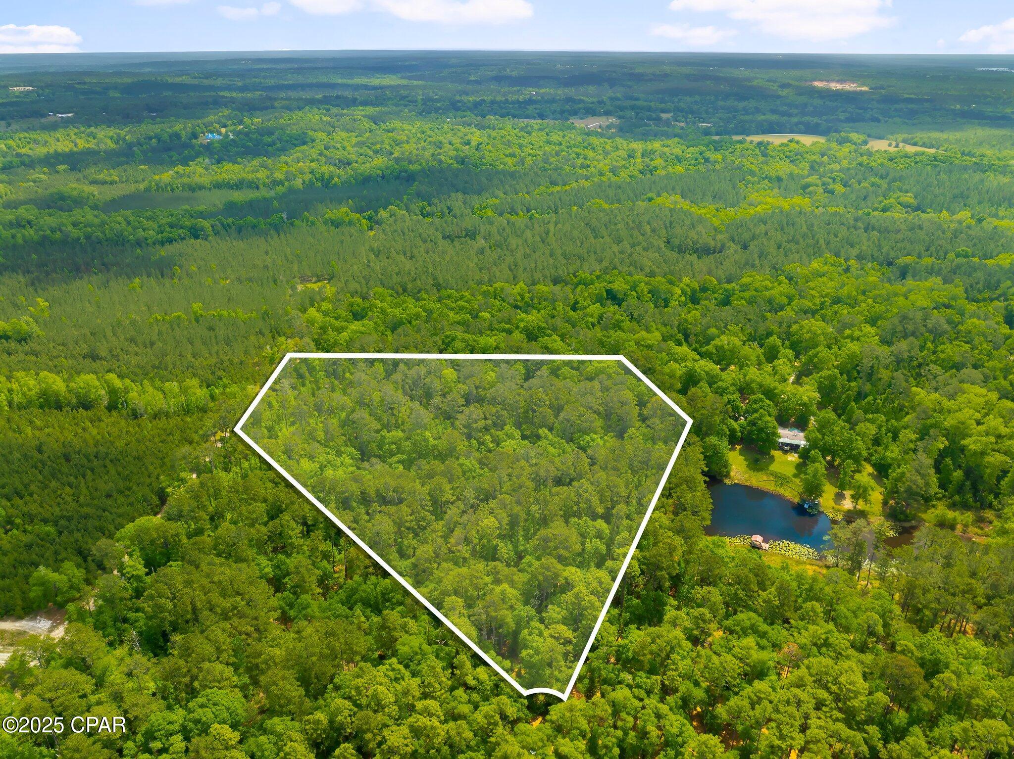 Image 6 For 00 Corgi Lane