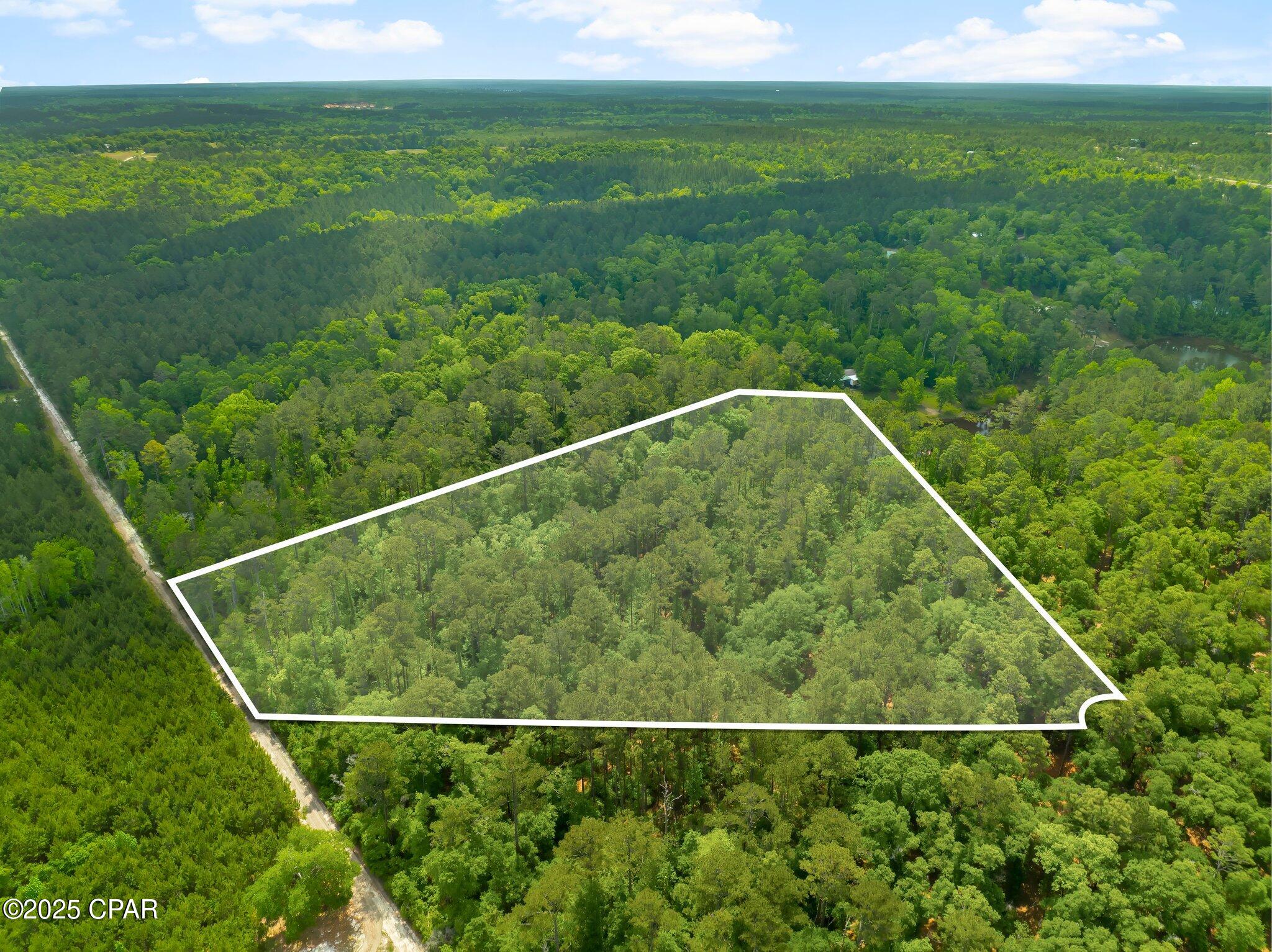 Image 7 For 00 Corgi Lane