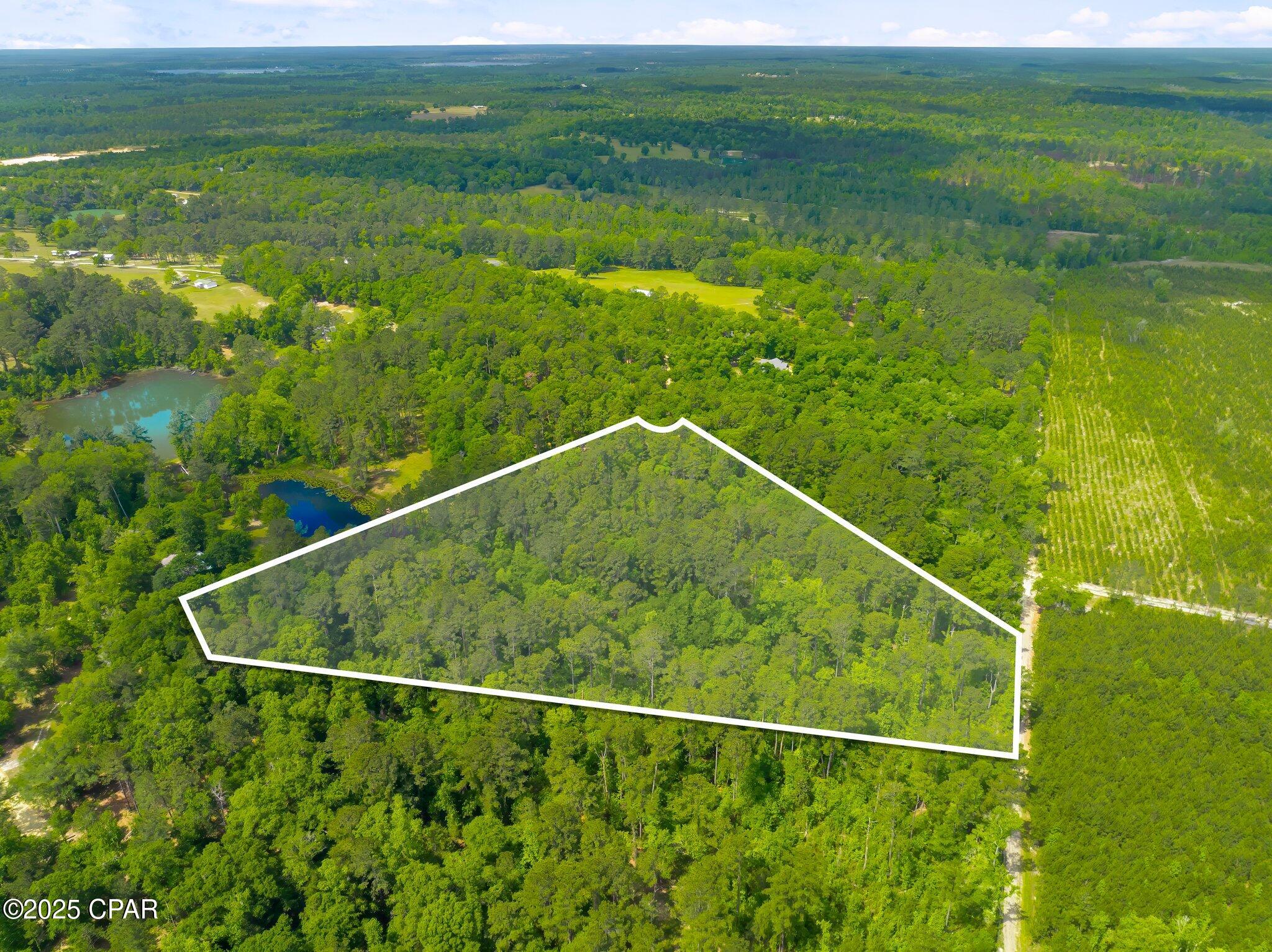 Image 8 For 00 Corgi Lane