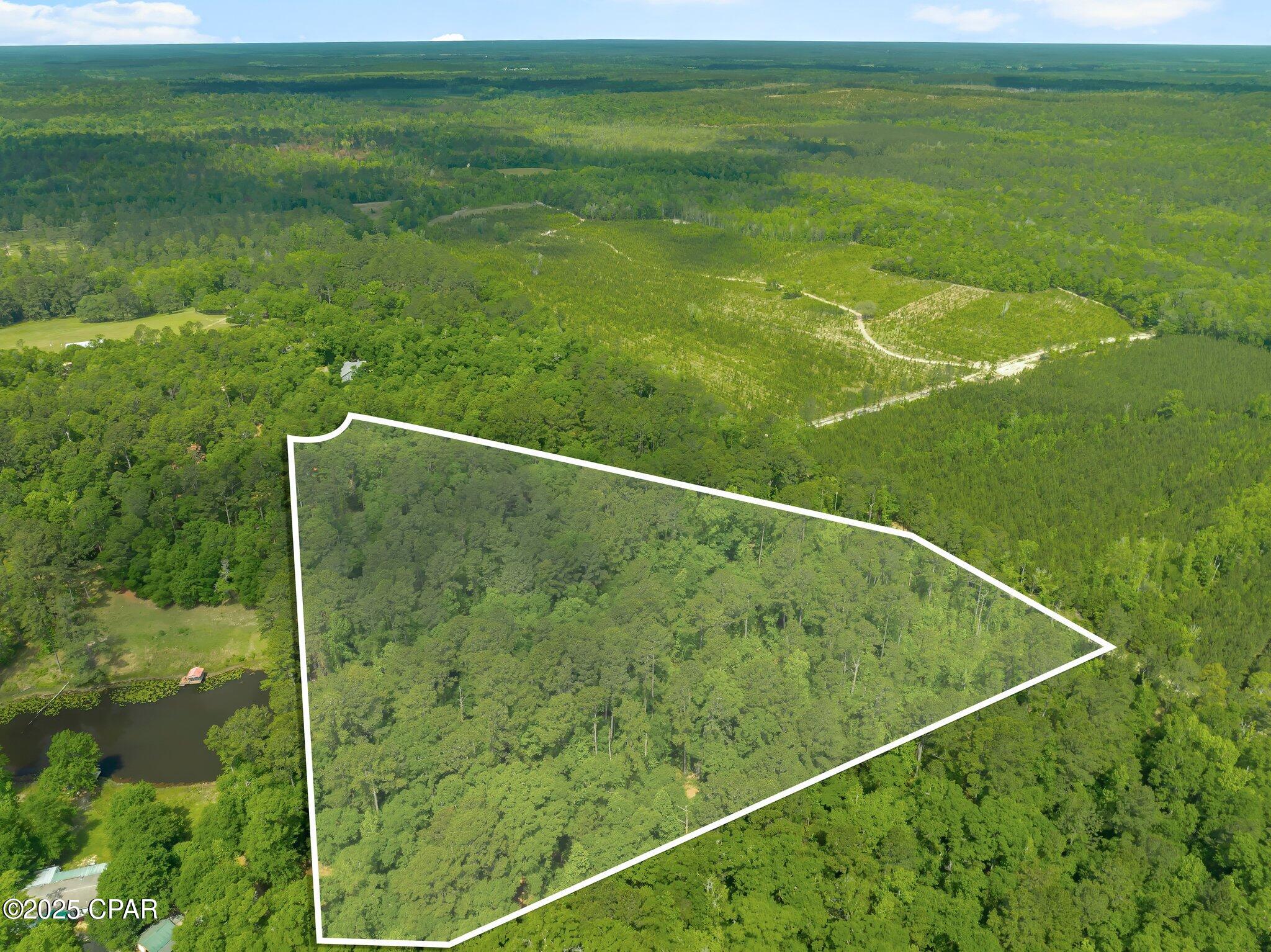 Image 9 For 00 Corgi Lane