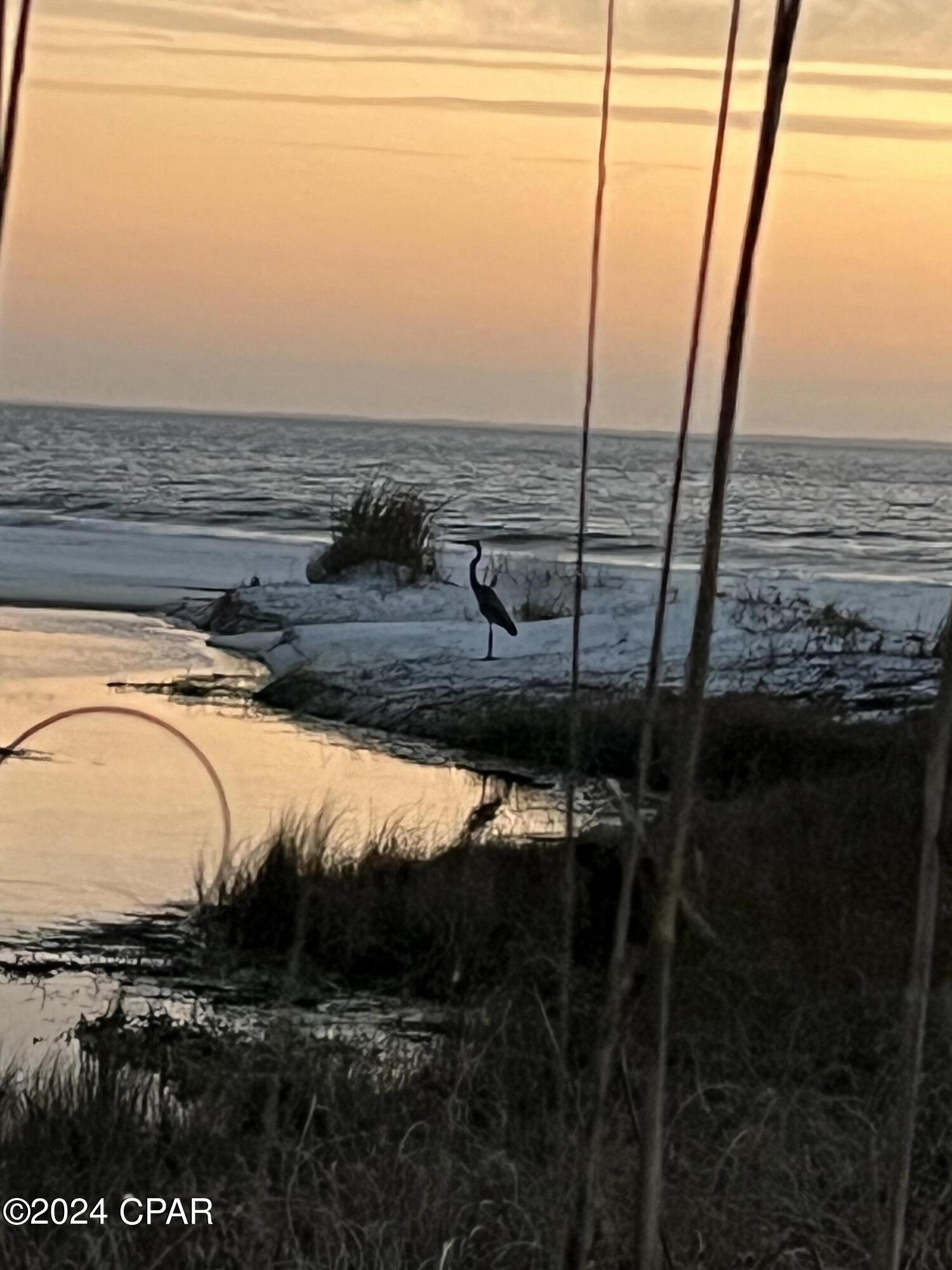 Image 19 For 6661 Americus Avenue