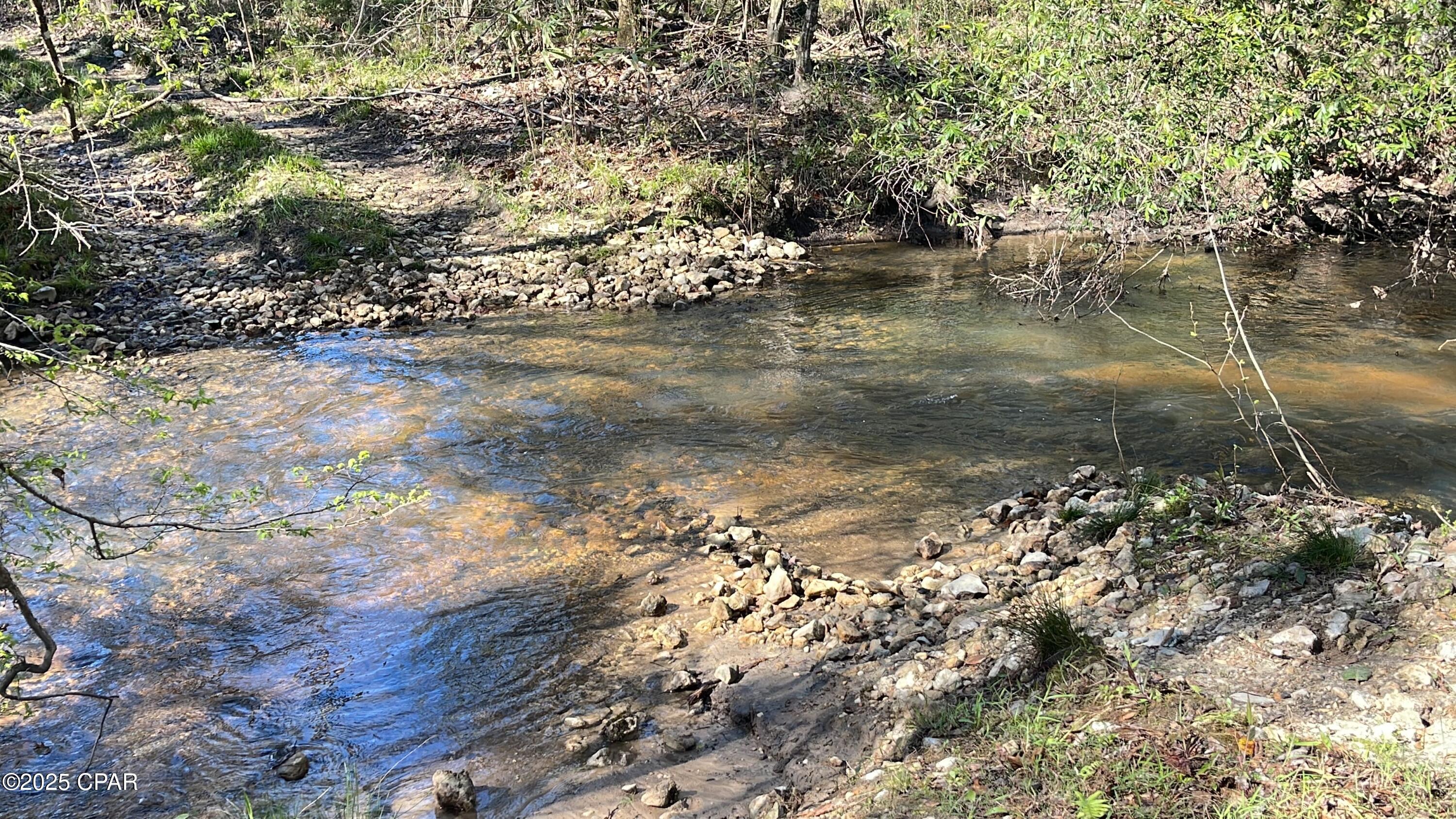 Image 2 For 37+acres Ten Mile Rd