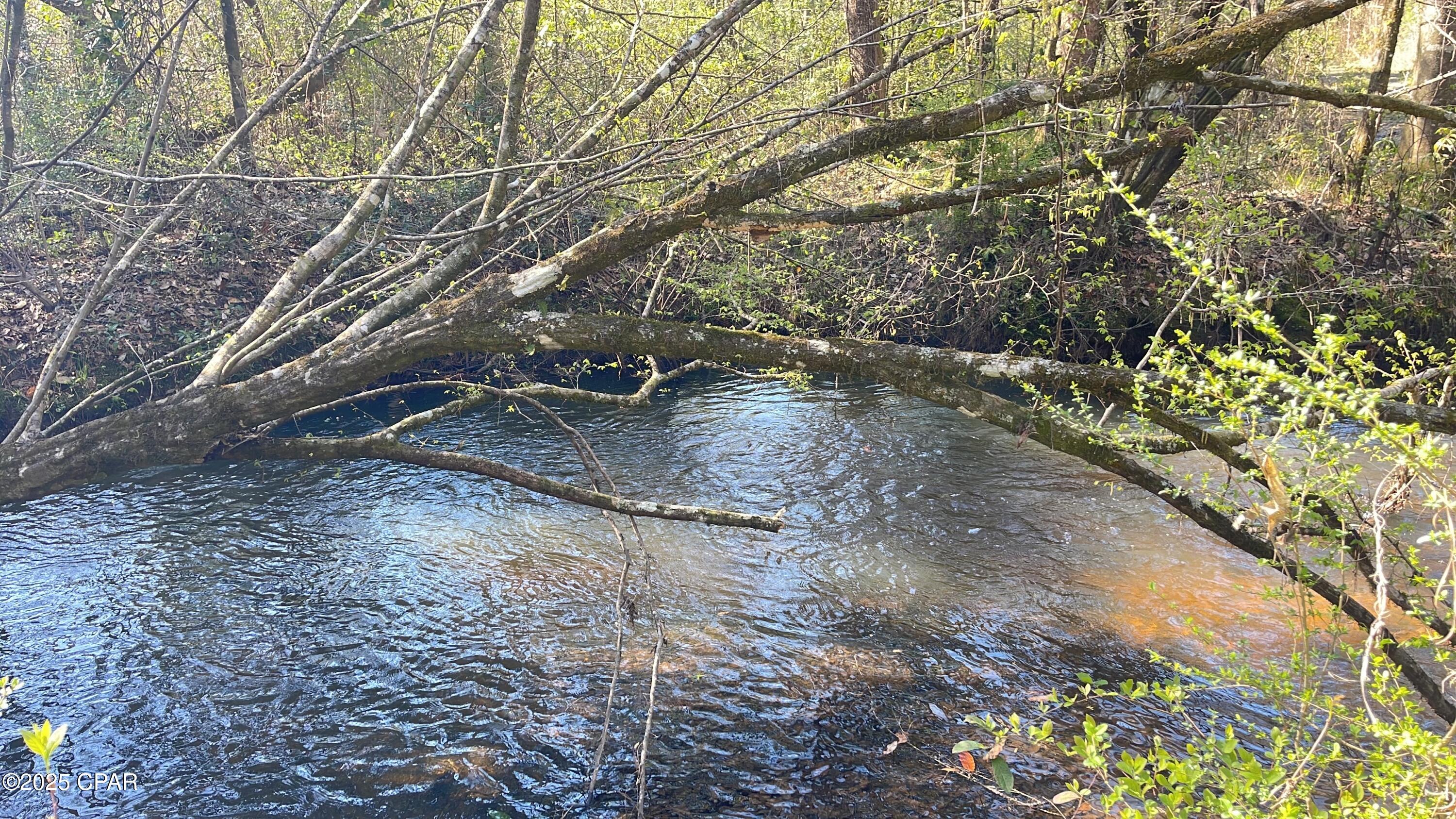 Image 3 For 37+acres Ten Mile Rd