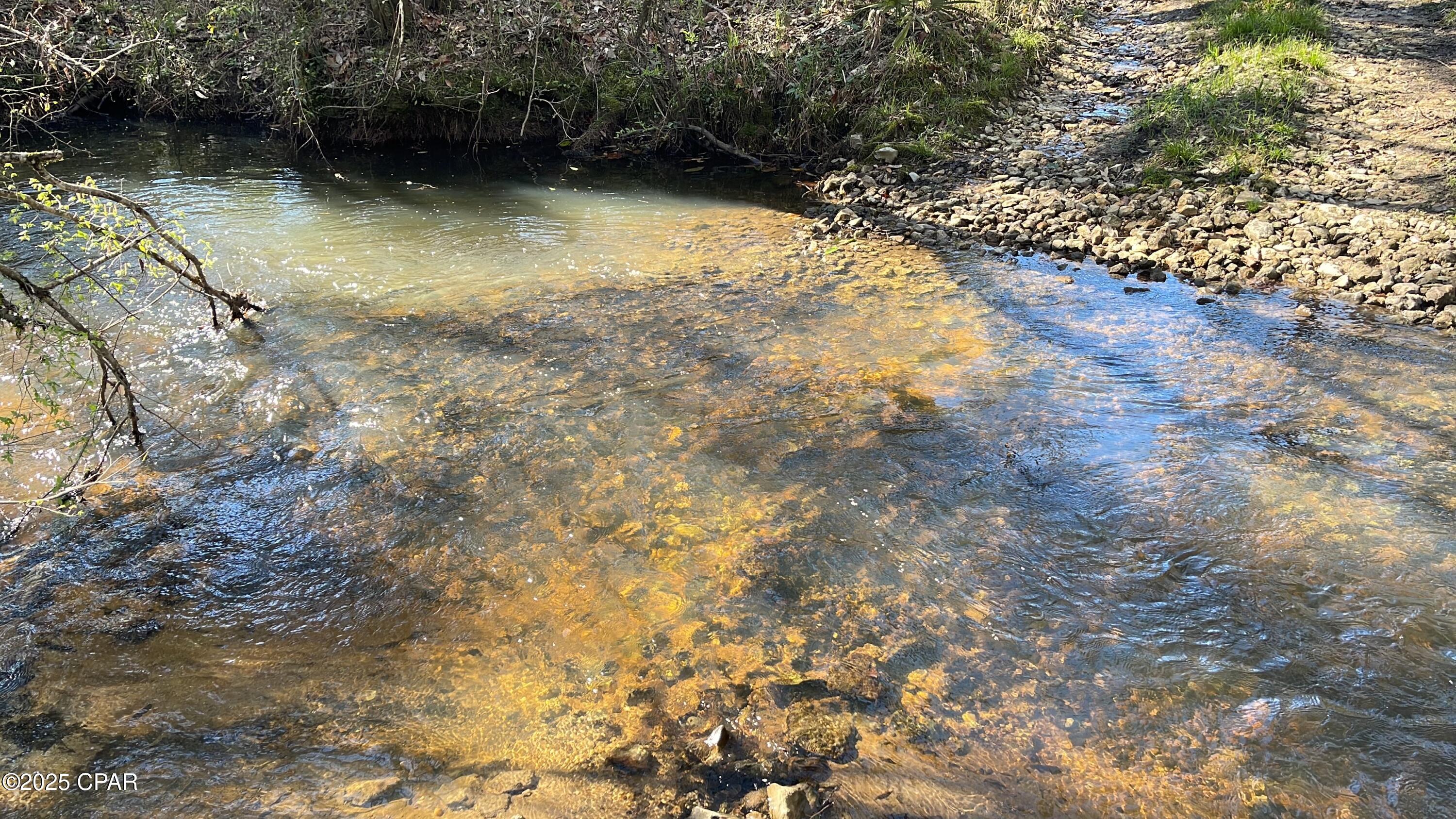 Image 4 For 37+acres Ten Mile Rd