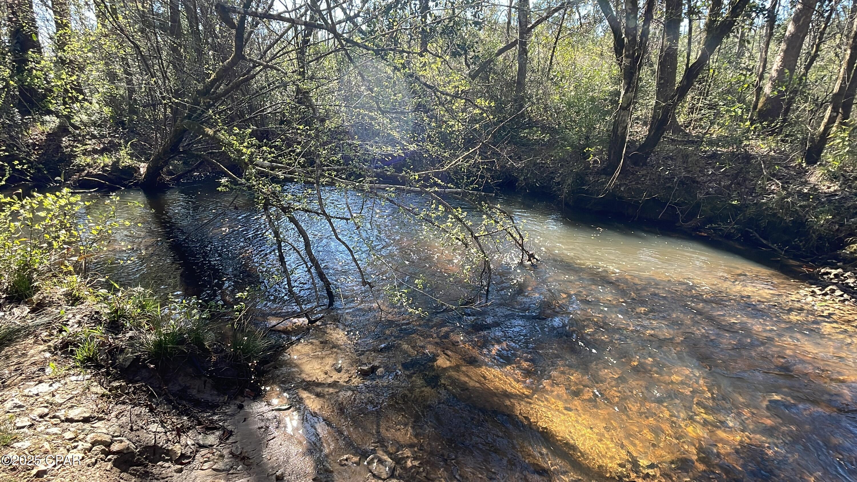 Image 5 For 37+acres Ten Mile Rd