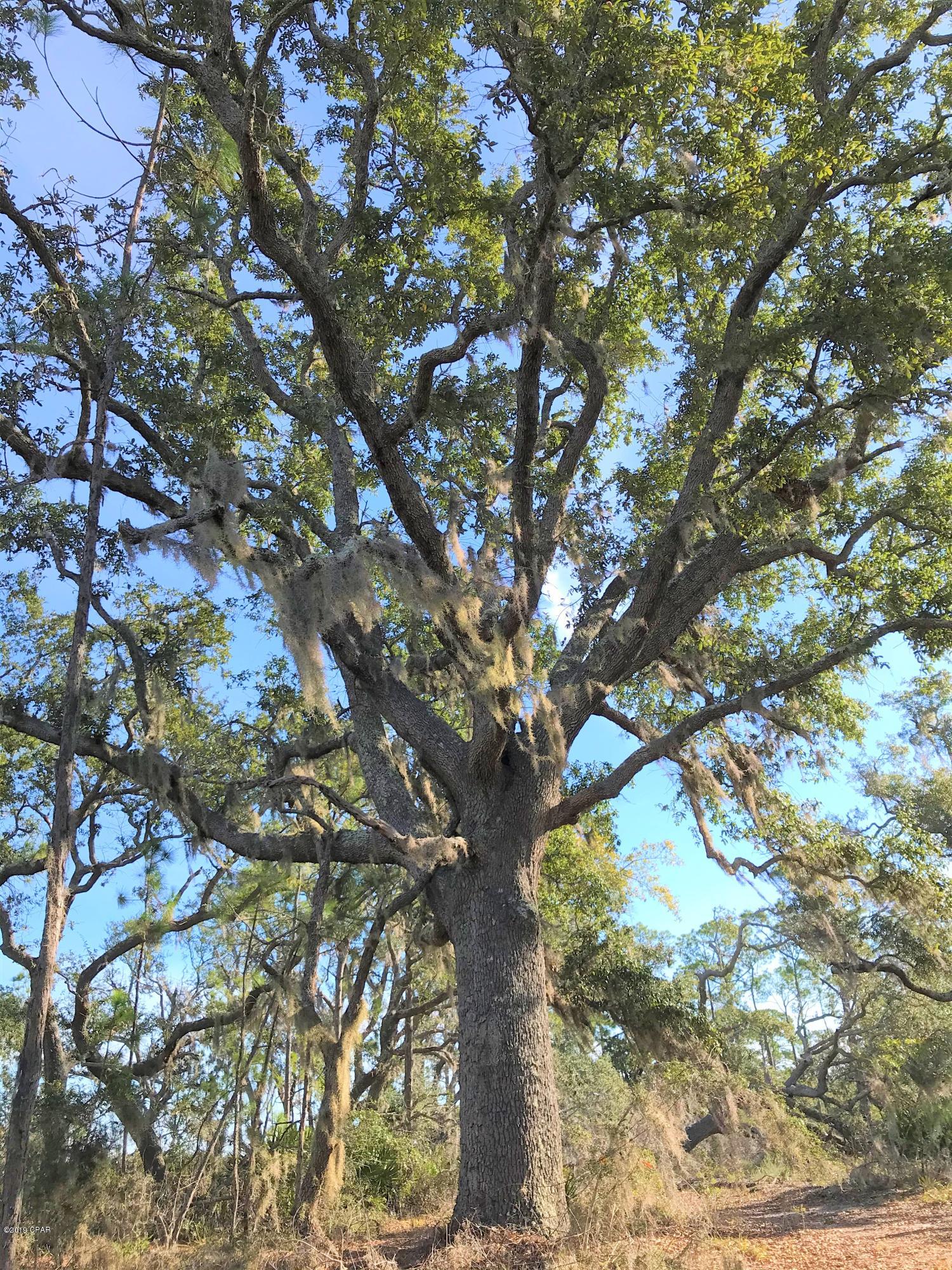 Image 35 For 000 Clara Avenue