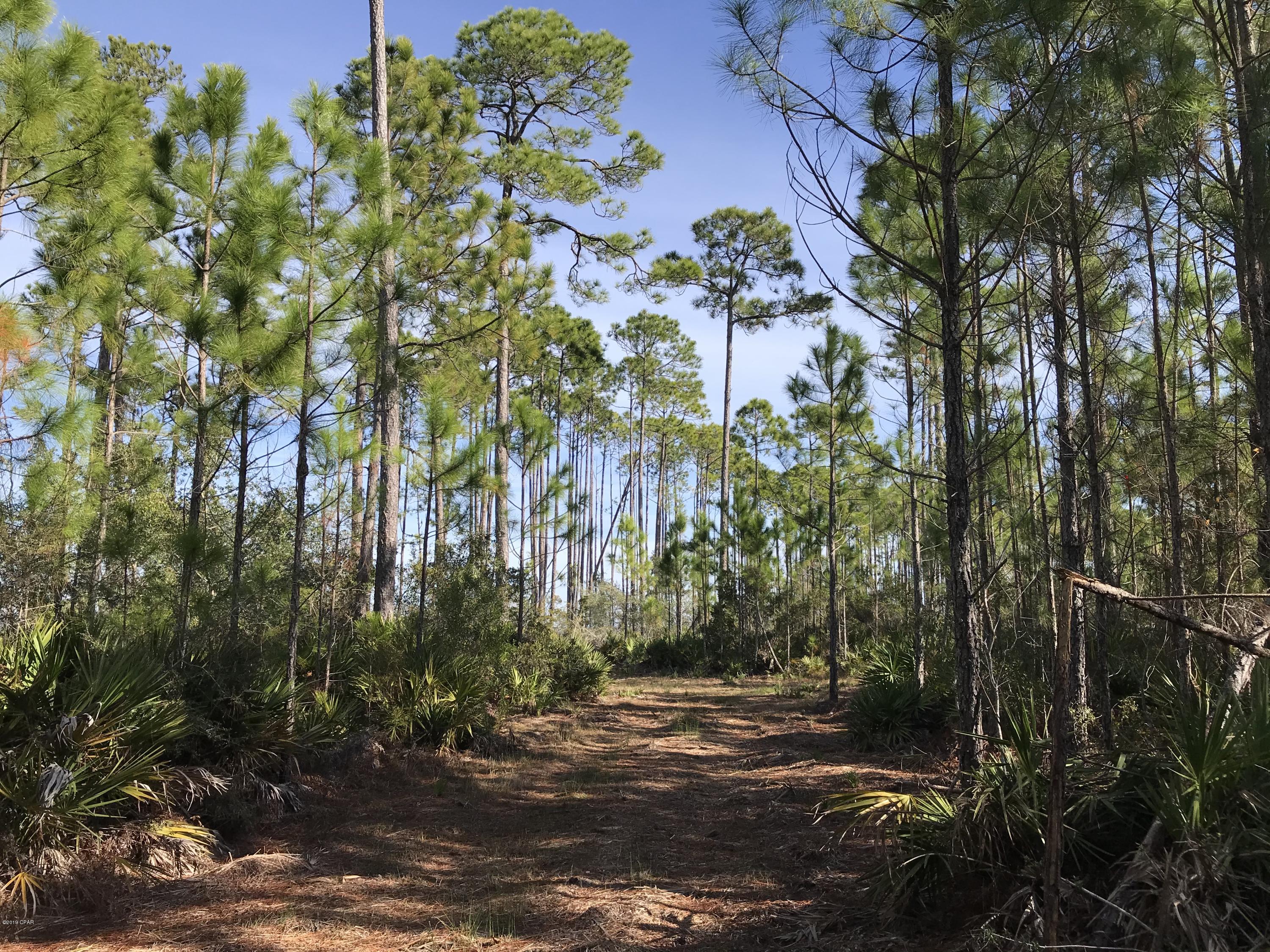 Image 40 For 000 Clara Avenue