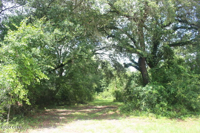 Image 16 For 4583 Dickson Road