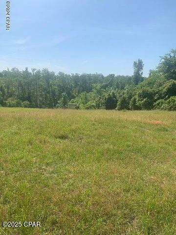 Homes for sale in Marianna, FL | 4 Spring Chase Ln, Marianna, FL 32446 | MLS# 770870