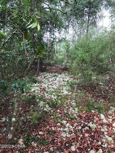 Homes for sale in Panama City, FL | 000 Sunrise Way, Panama City, FL 32409 | MLS# 776168