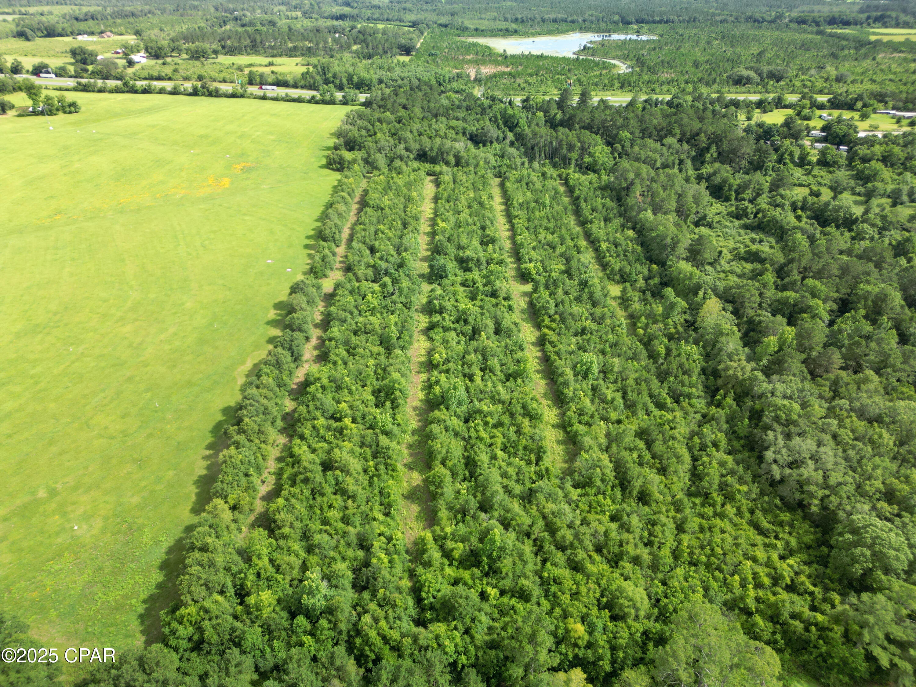 Image 15 For 000 Oswald Road