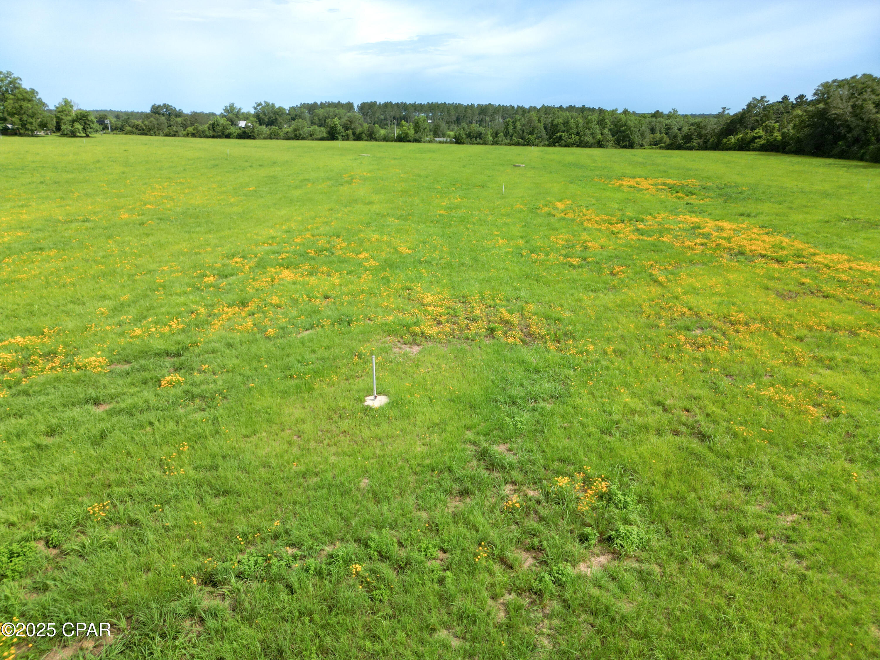 Image 17 For 000 Oswald Road