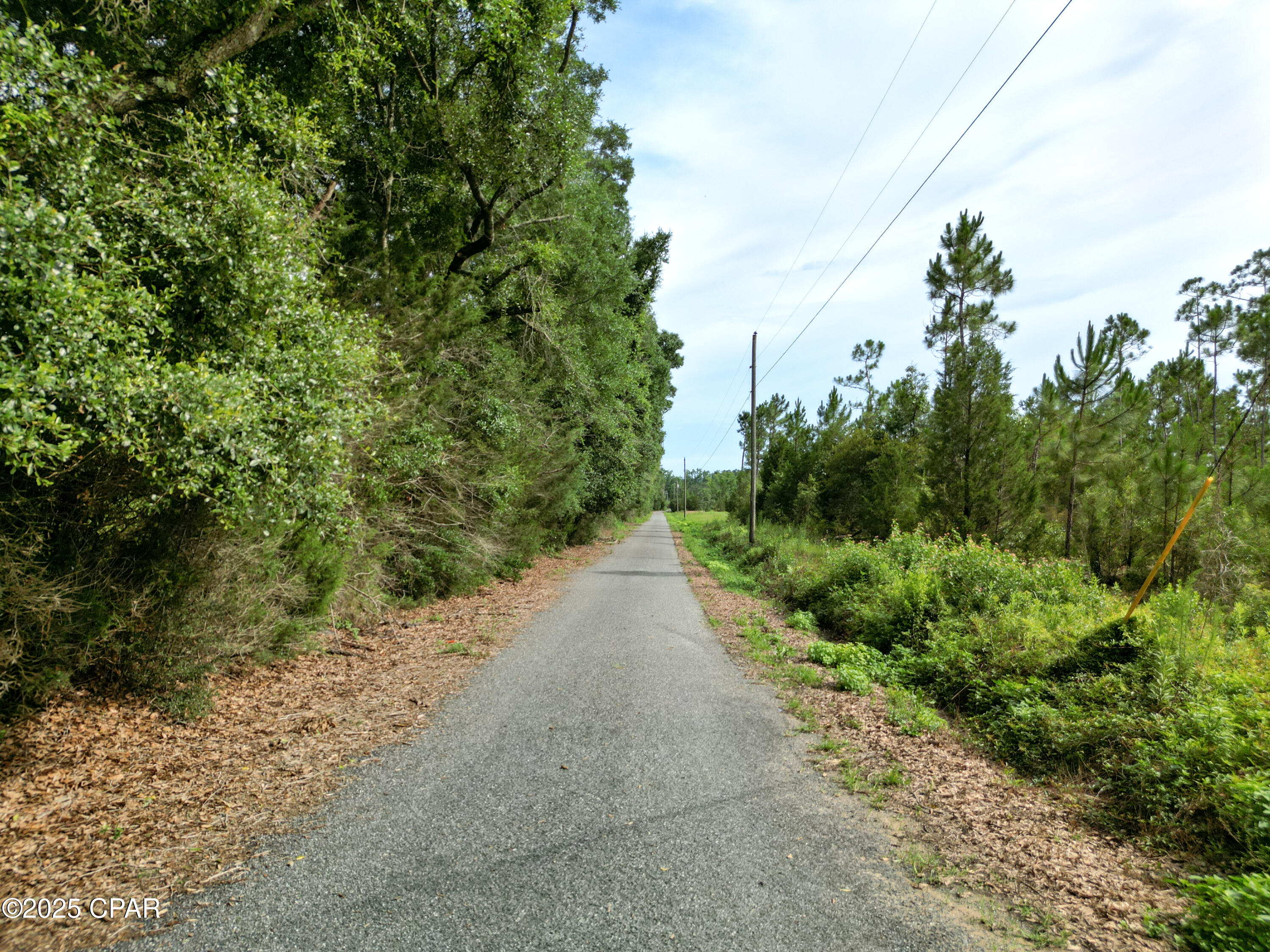 Image 23 For 000 Oswald Road