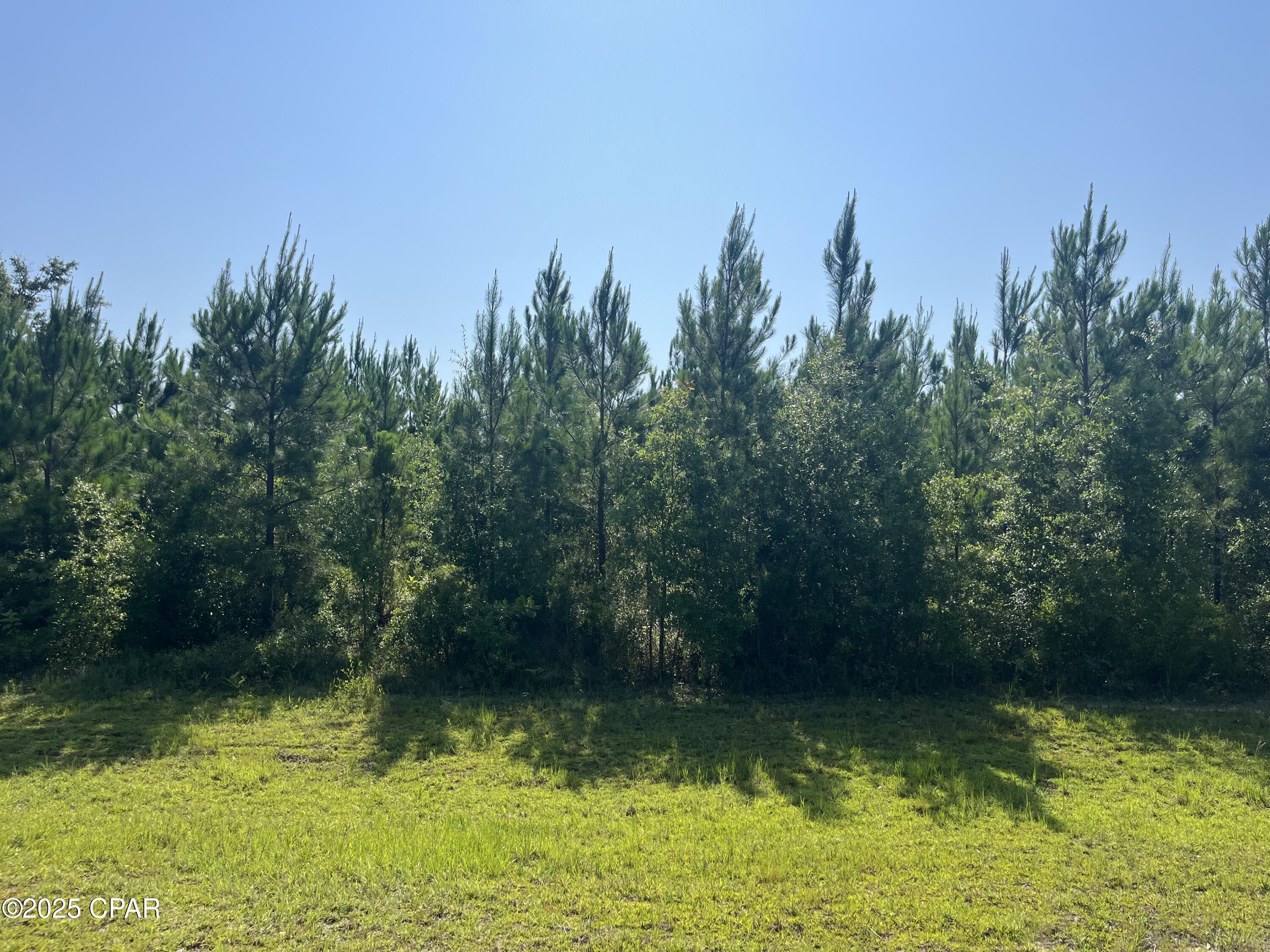 Details for 0 Nadine Stone Landing Road, Kinard, FL 32449