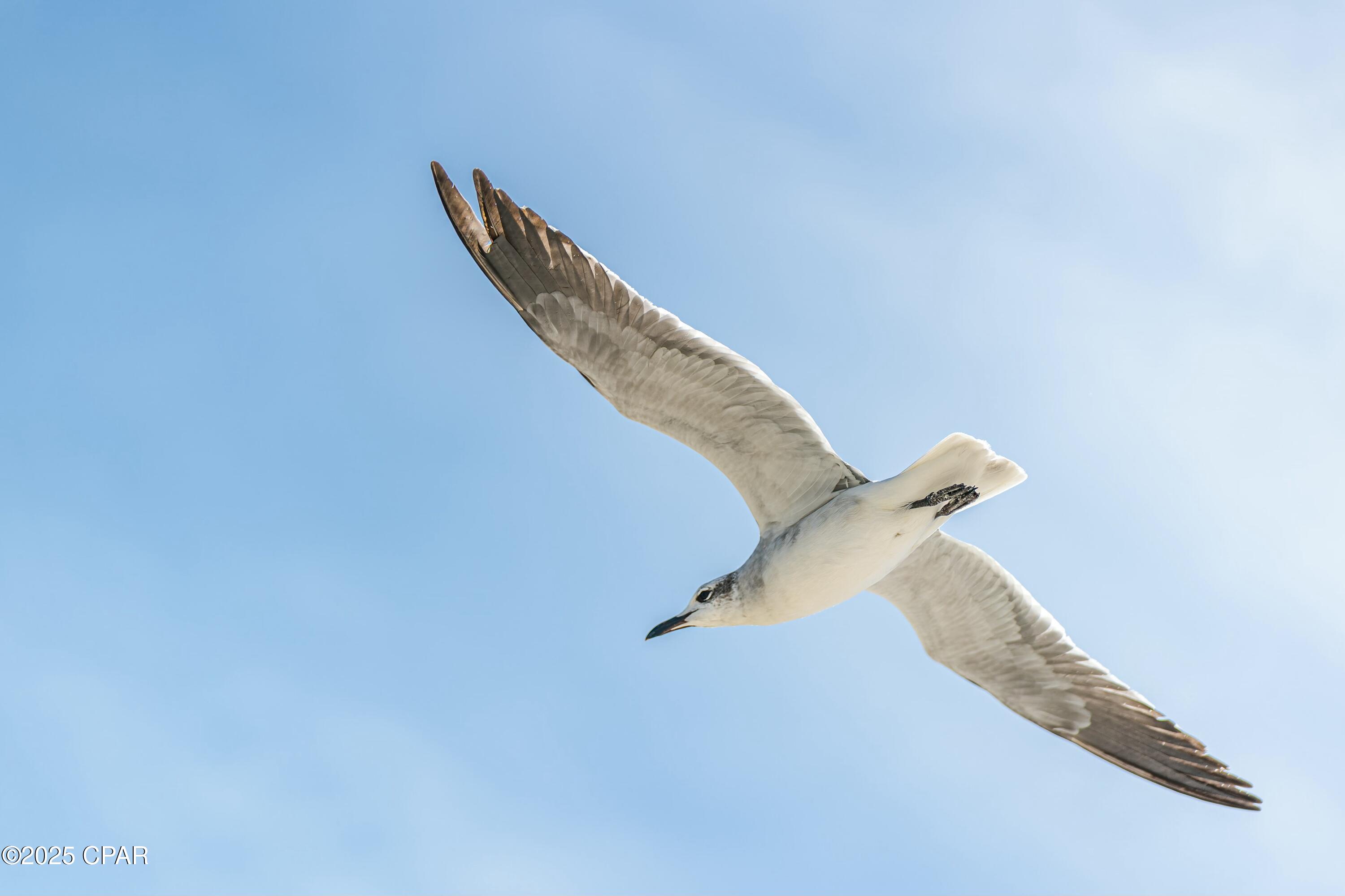 Image 15 For Lot 3 Pinnacle Drive