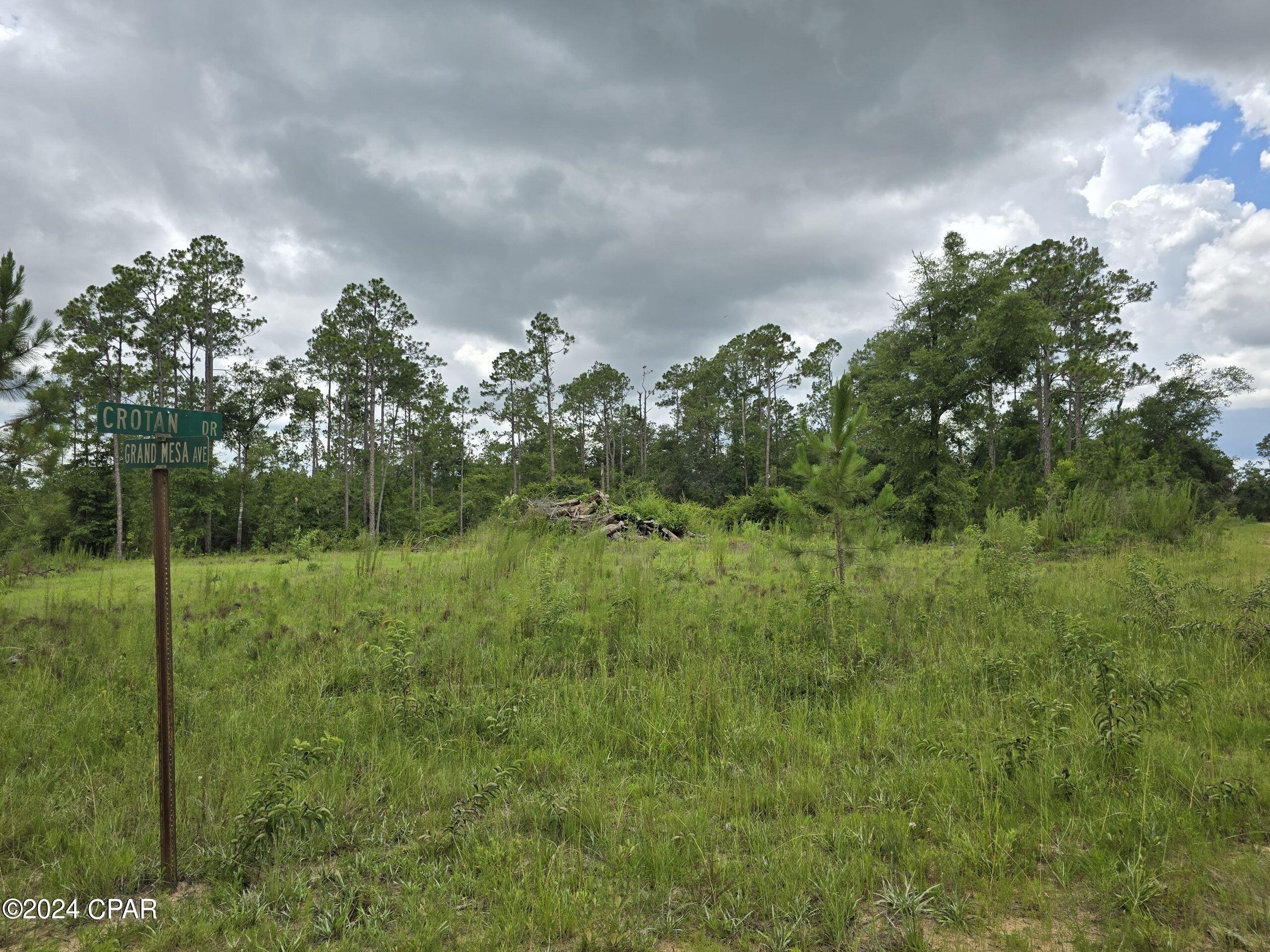 Homes for sale in Alford, FL | 000 Crotan Dr, Alford, FL 32420 | MLS# 759458