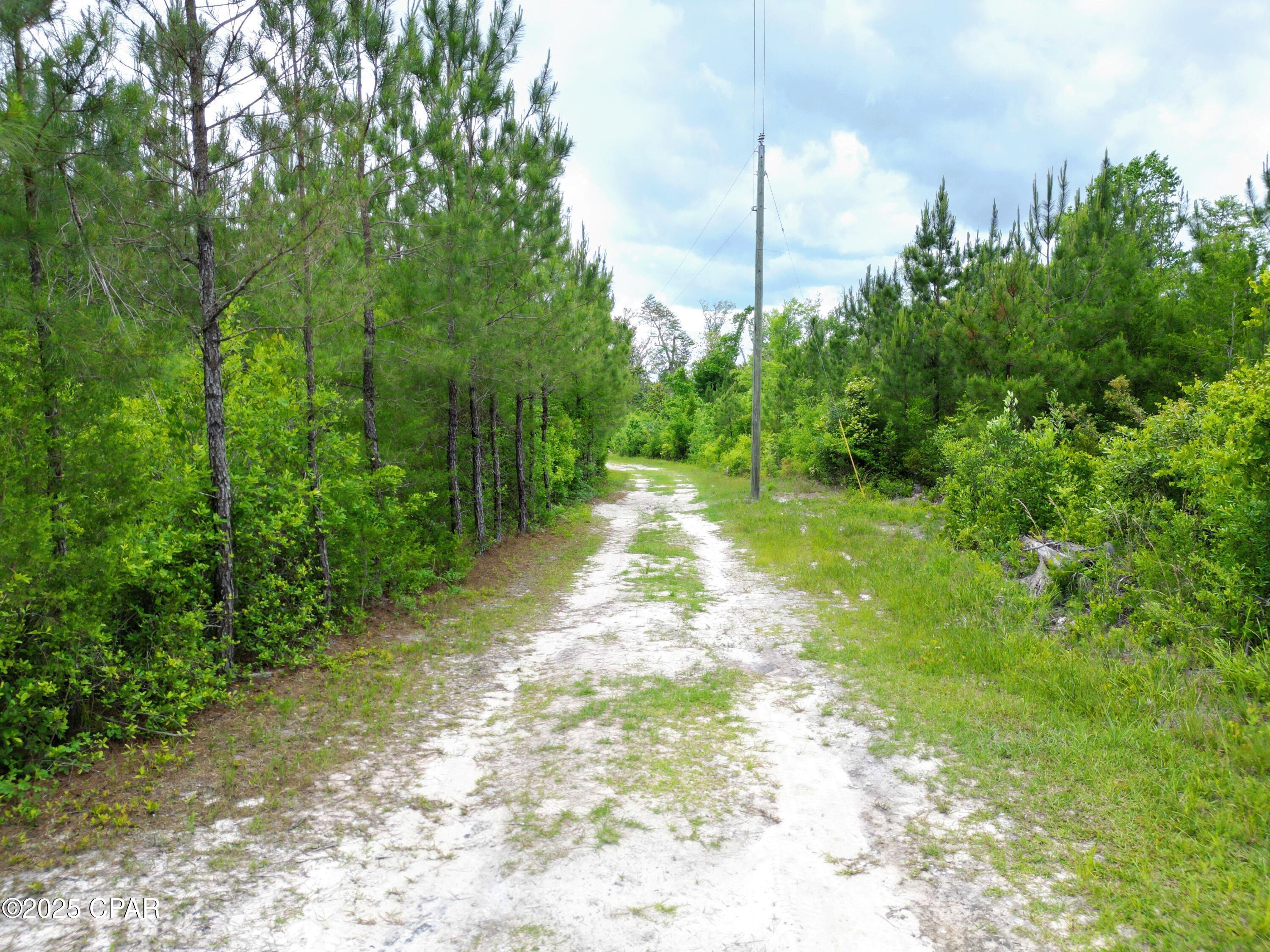 Image 10 For 14567 Cj Roberts Road