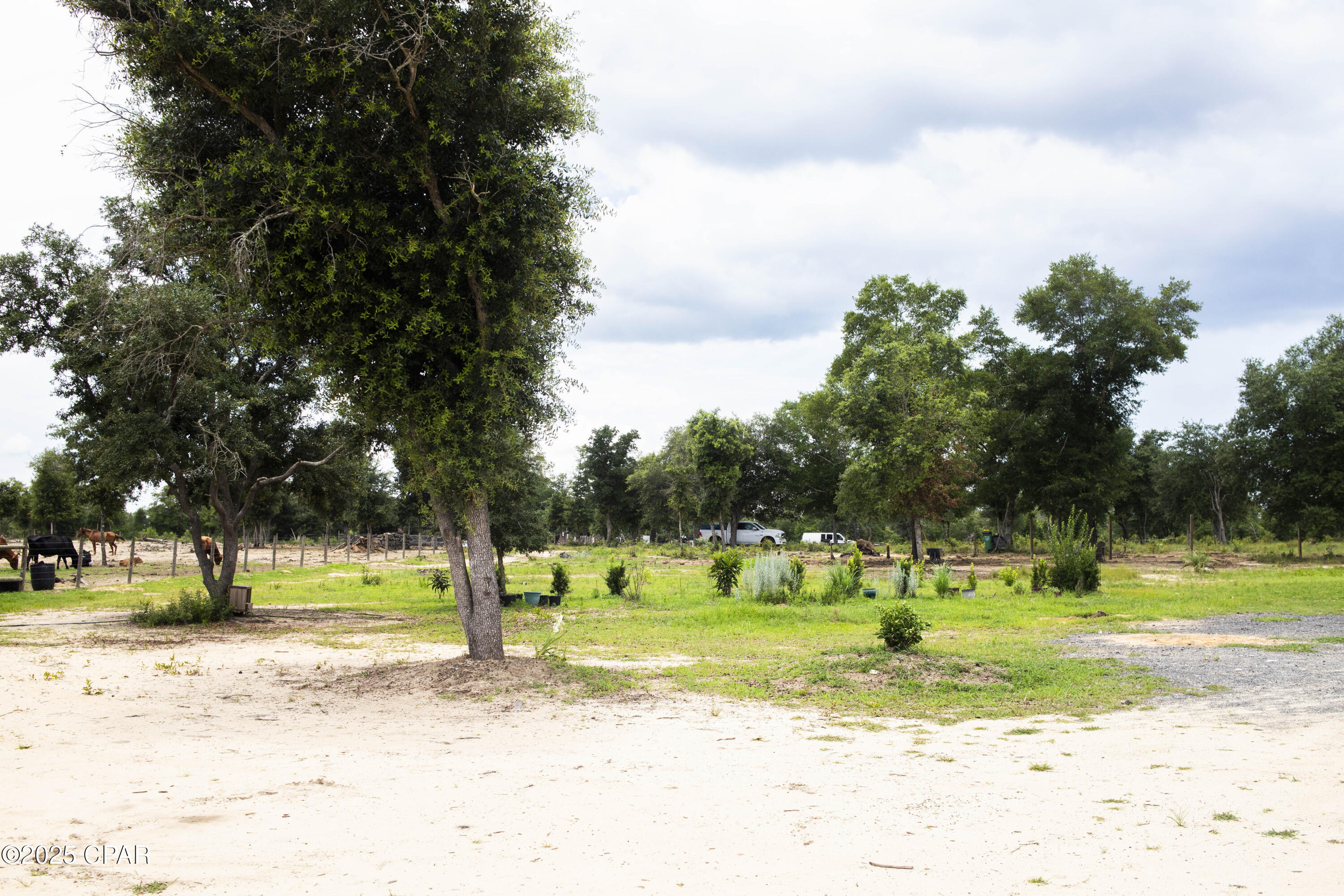 Image 20 For 20235 Bain Road