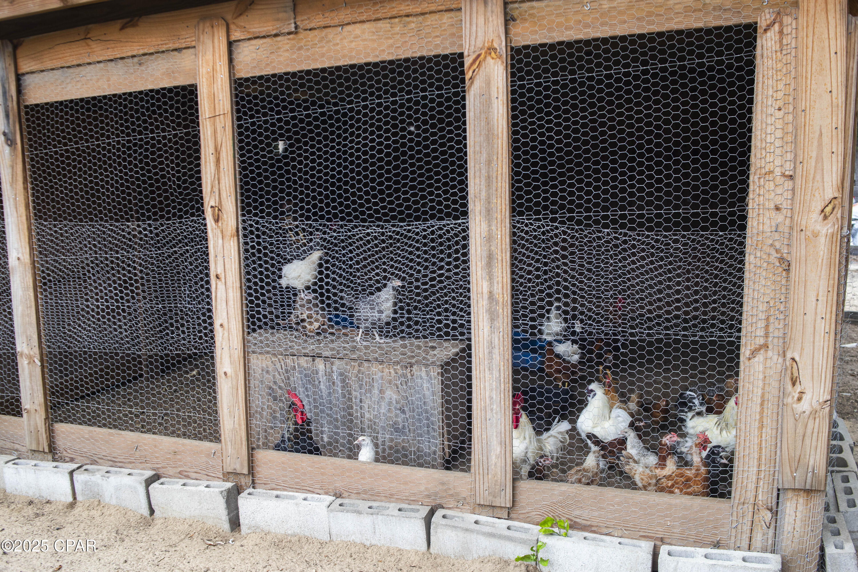 Image 22 For 20235 Bain Road