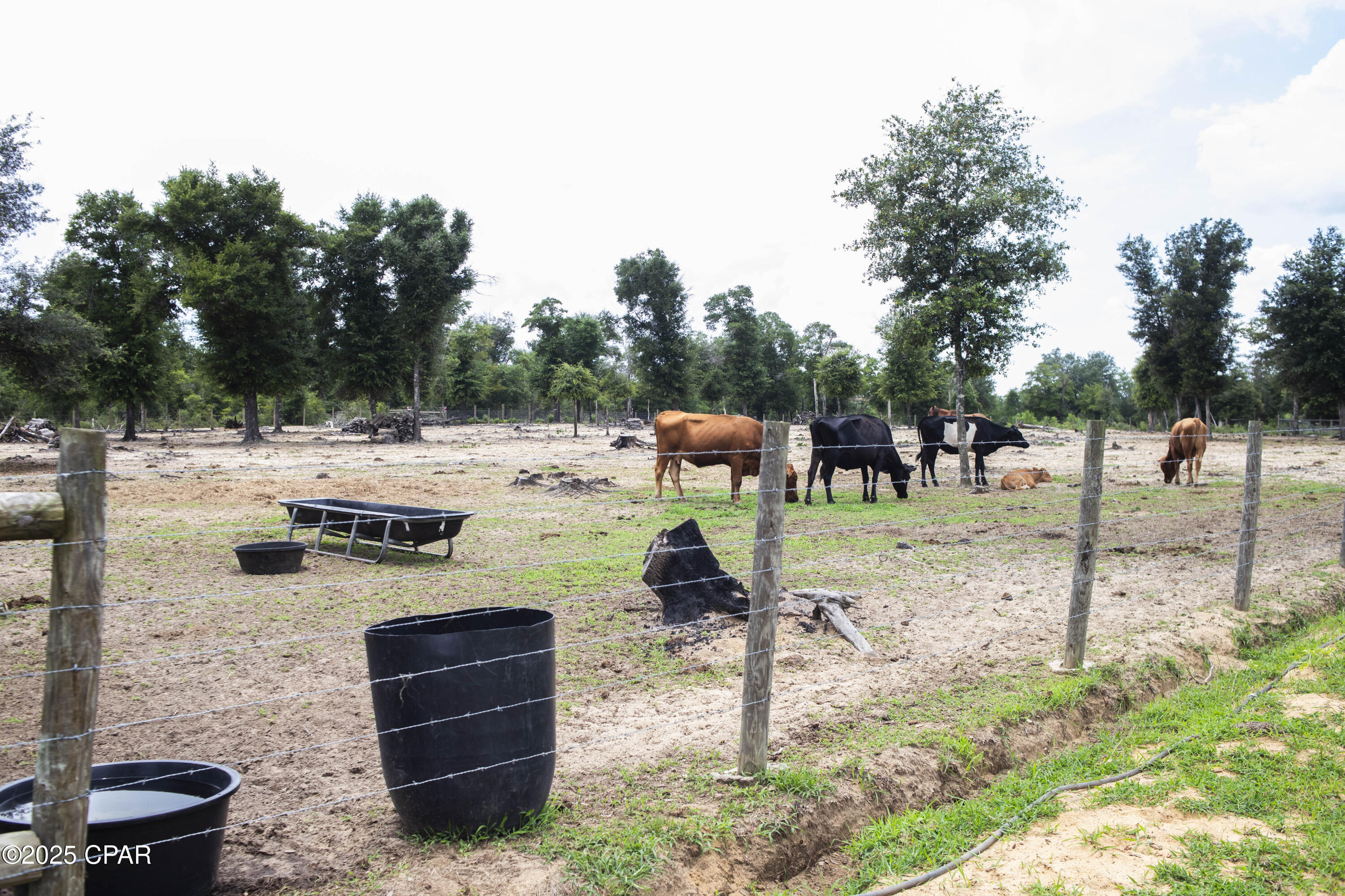 Image 23 For 20235 Bain Road